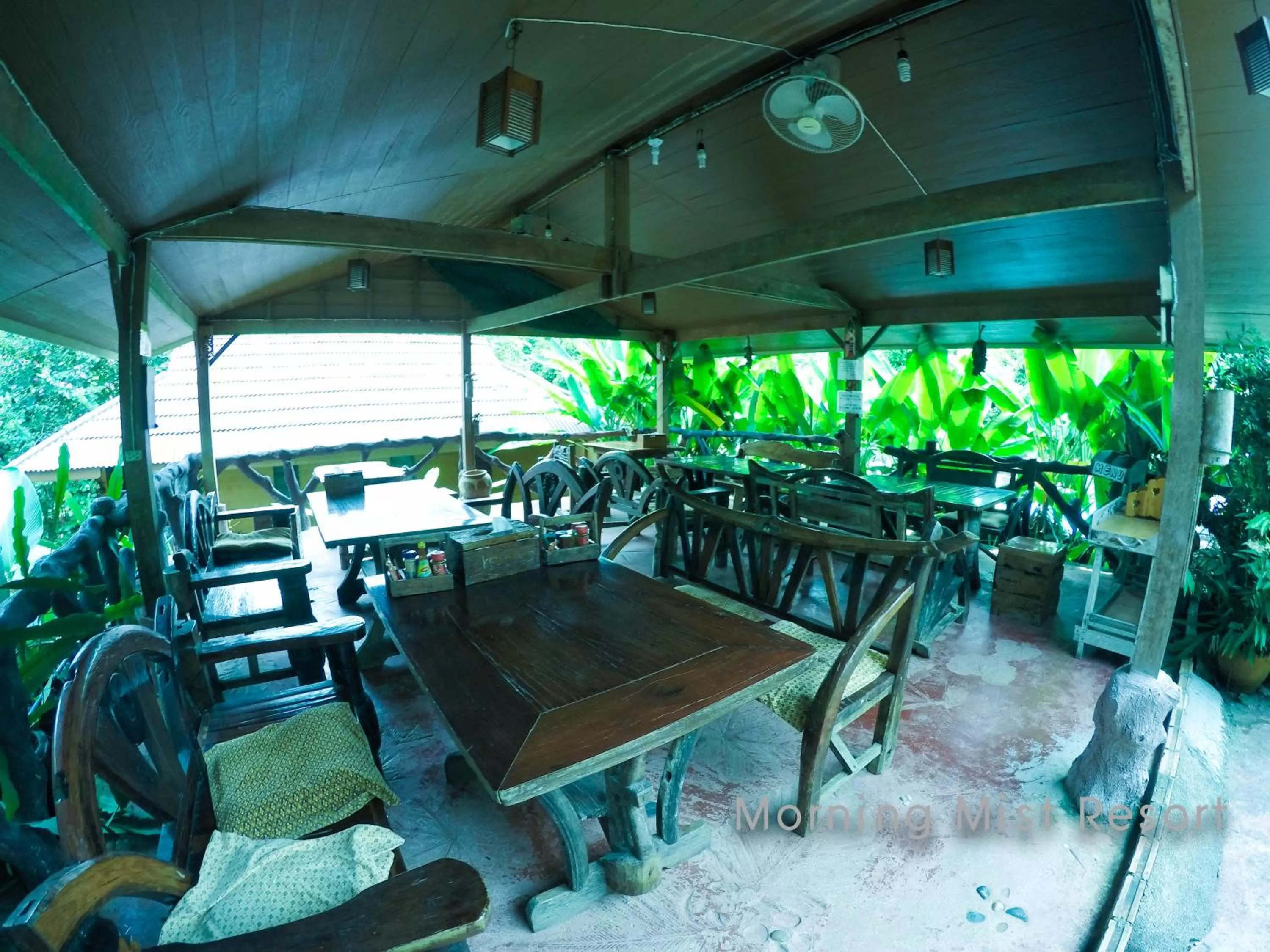 Restaurant/places to eat in Khao Sok Morning Mist Resort