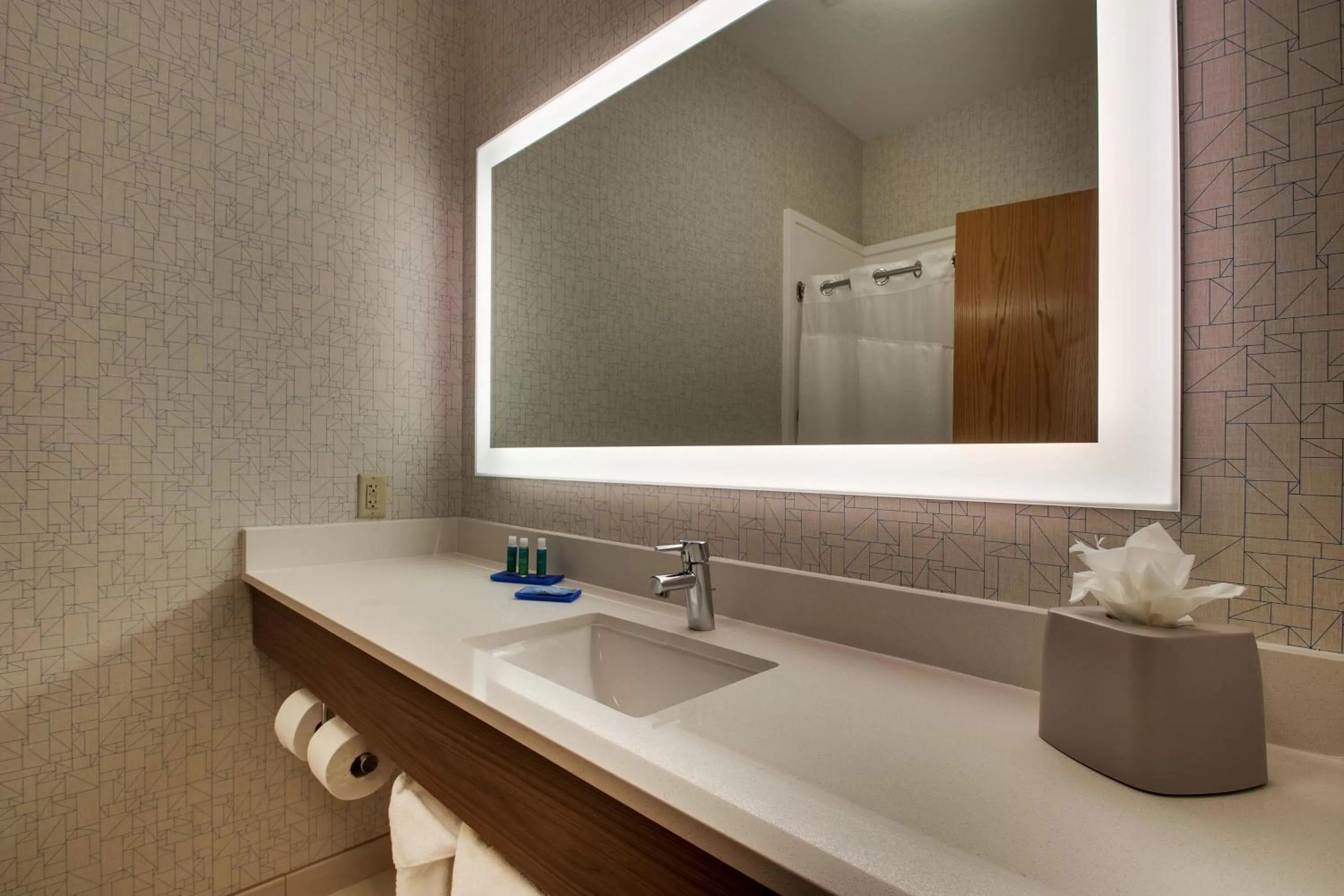 Bathroom in Holiday Inn Express Hotel & Suites Morris by IHG