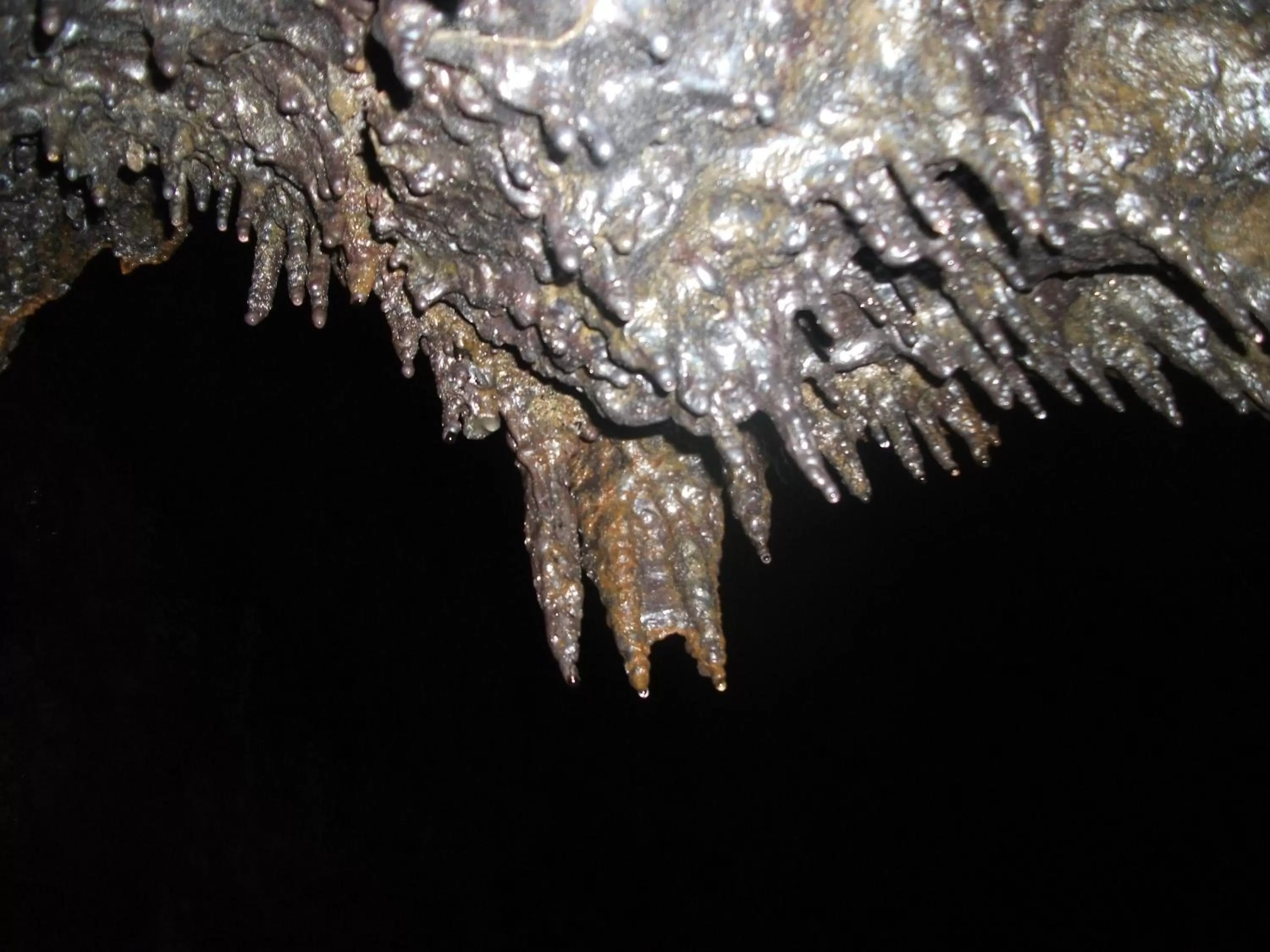 Other in Aloha Crater Lodge