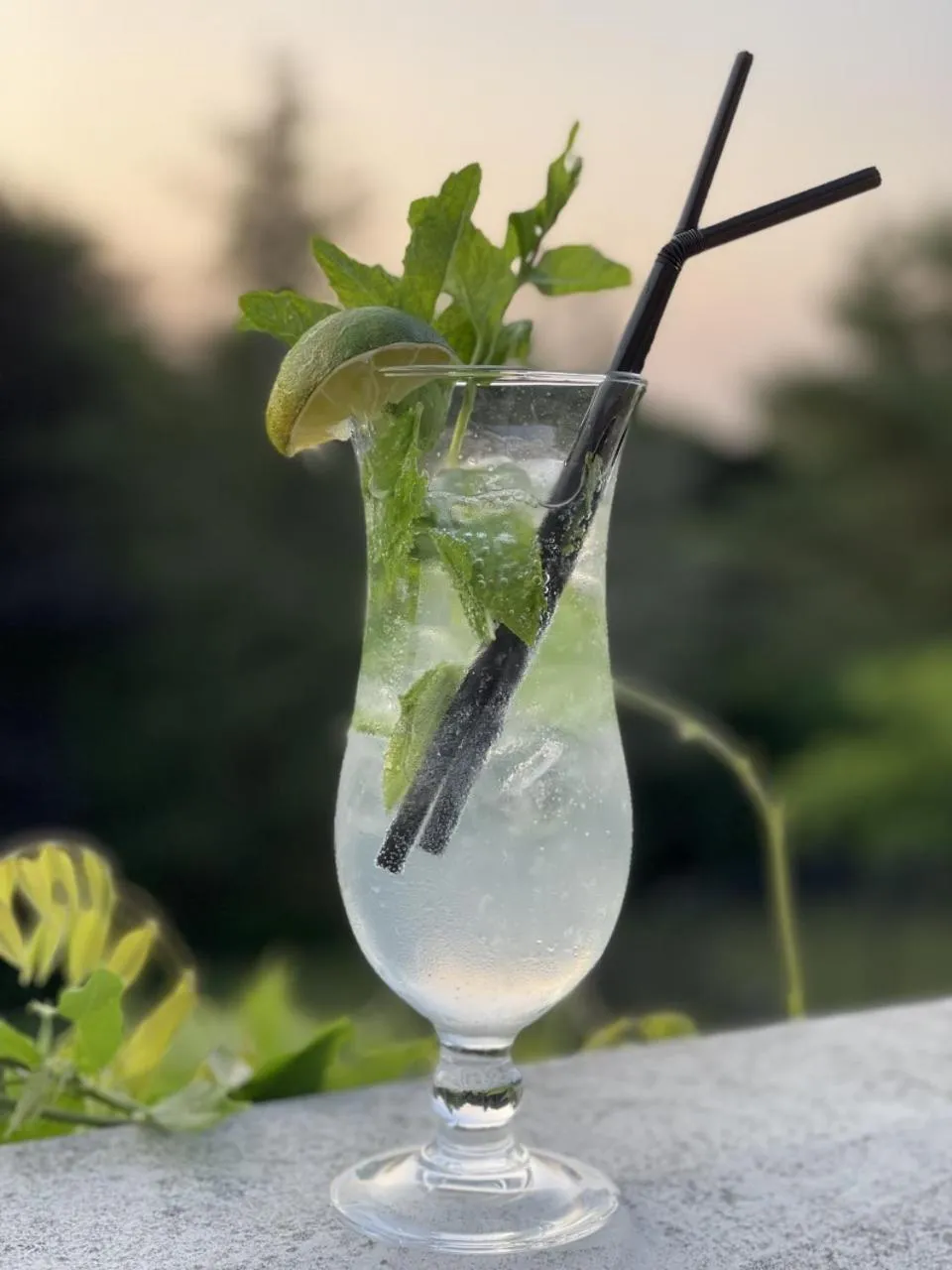 Day in The Lilly Restaurant With Rooms