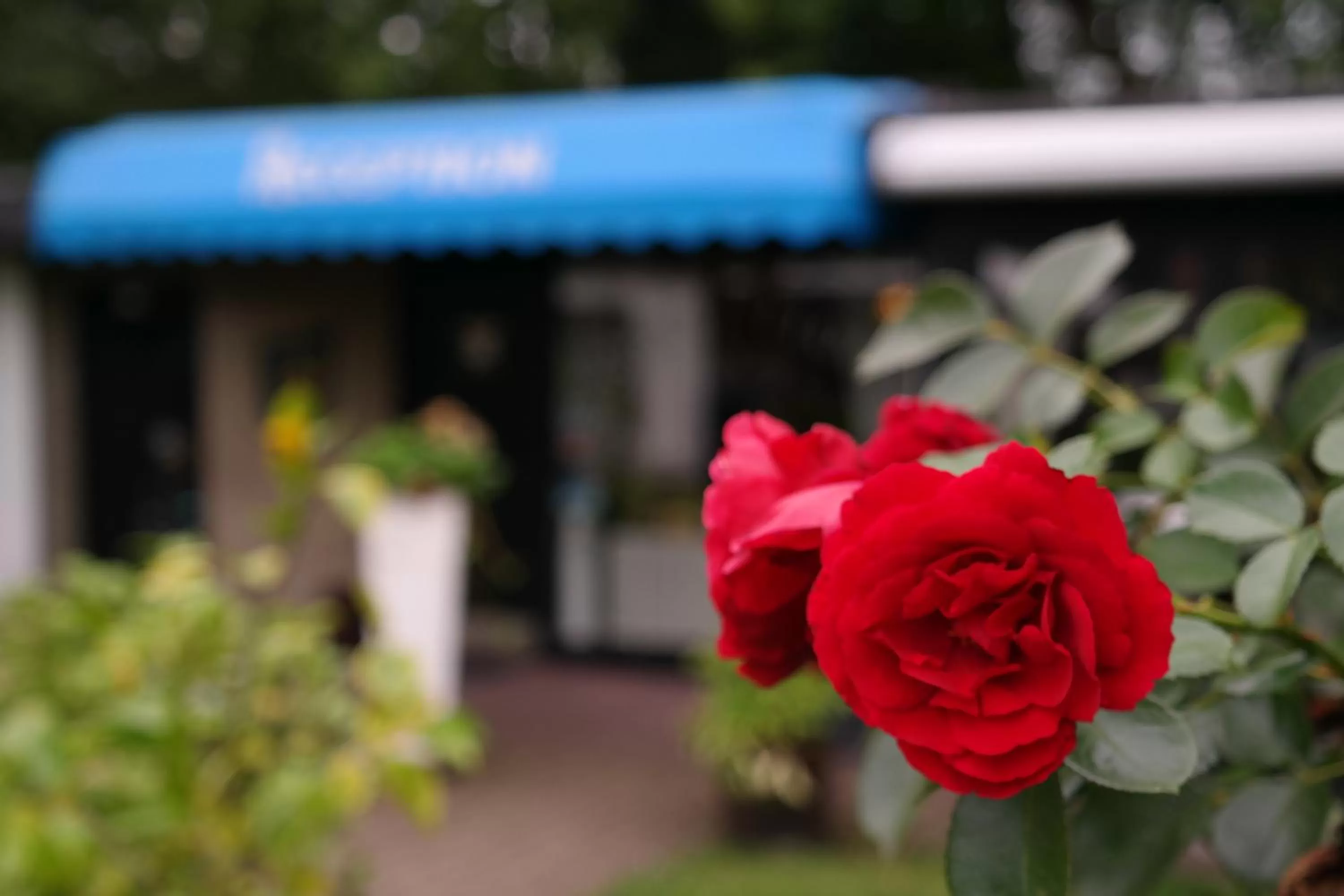 Other in Am Hallenbad Hotel garni