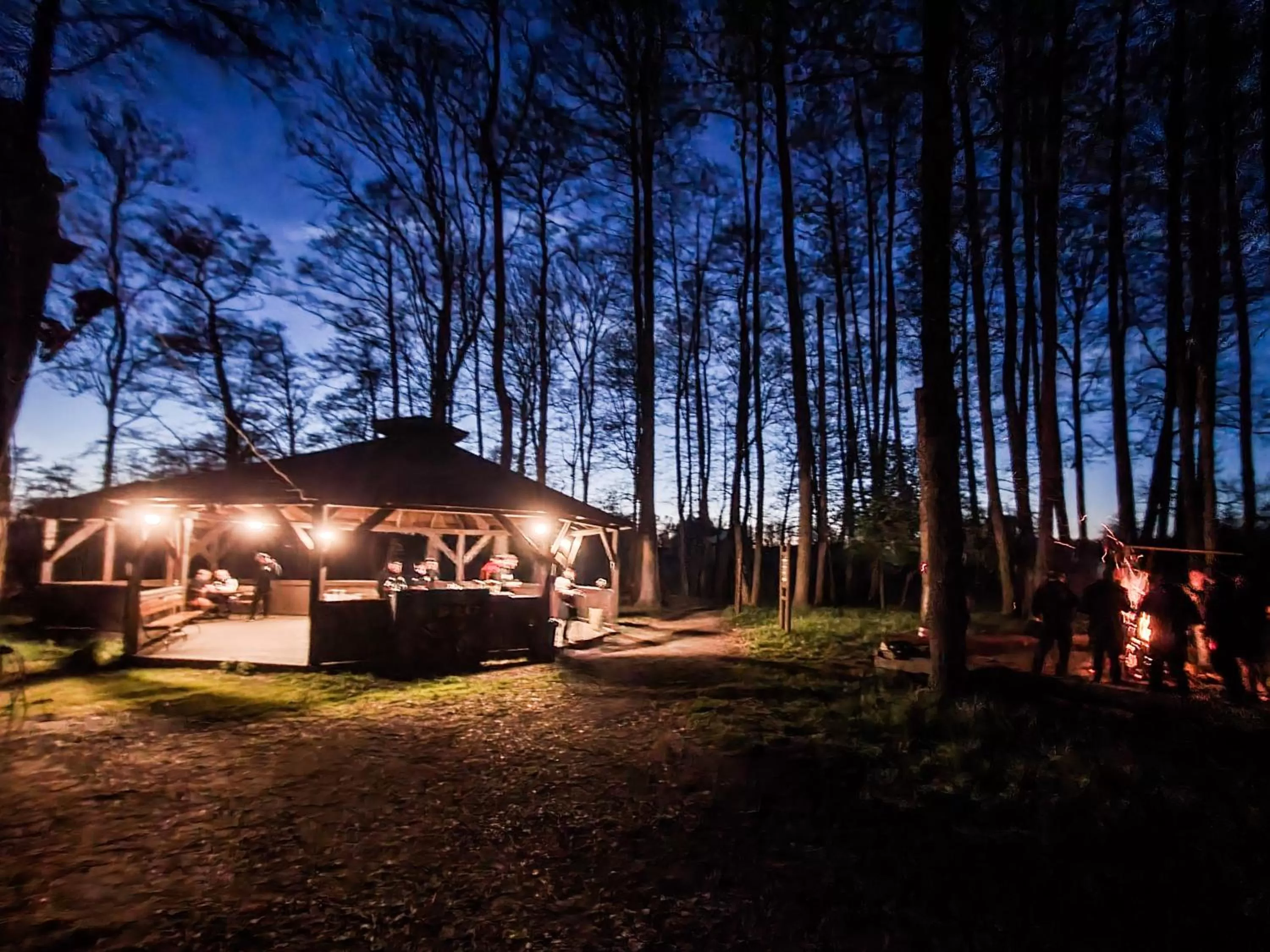 Garden, Property Building in Olandia