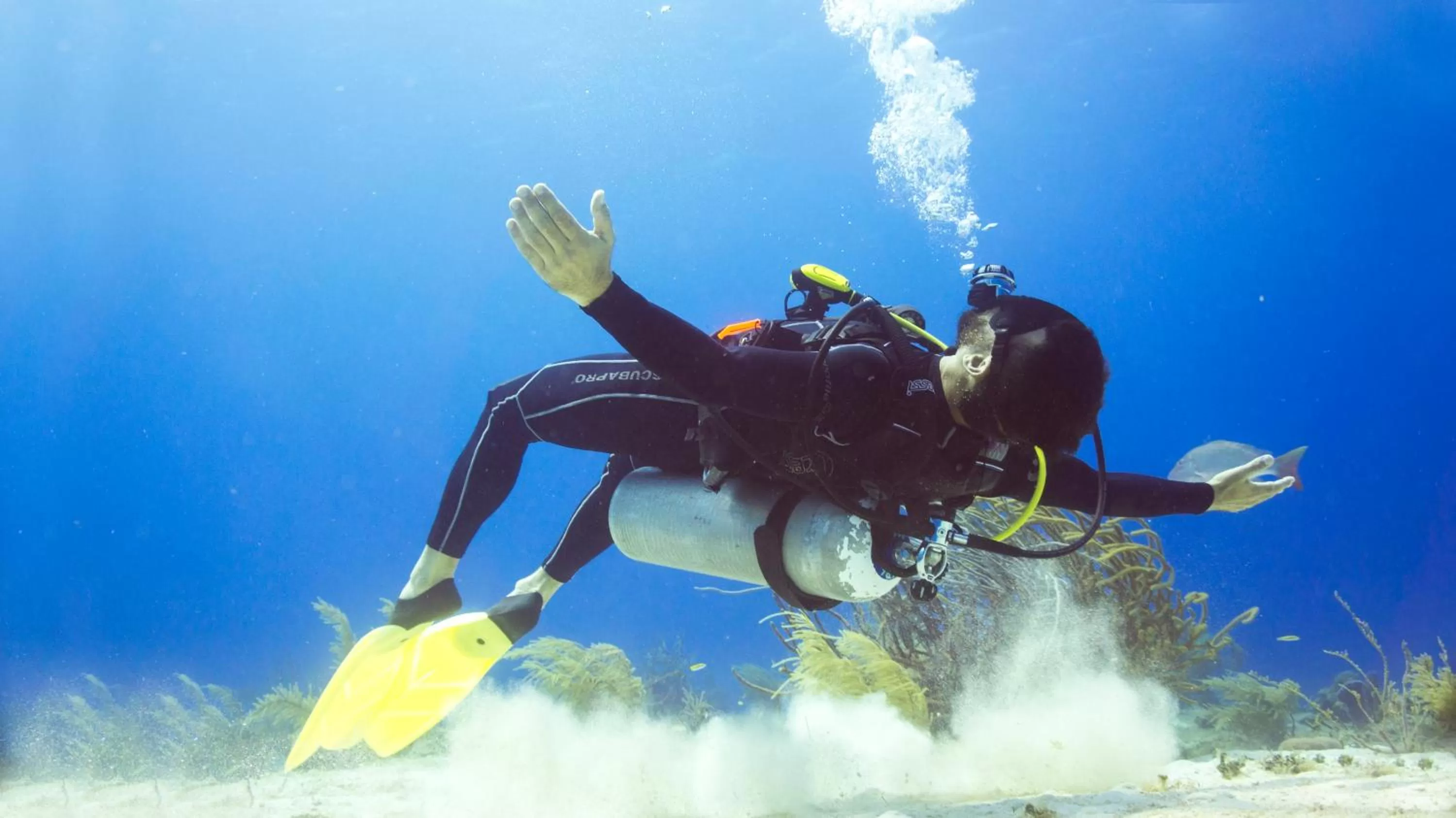 Activities in Hotel B Cozumel