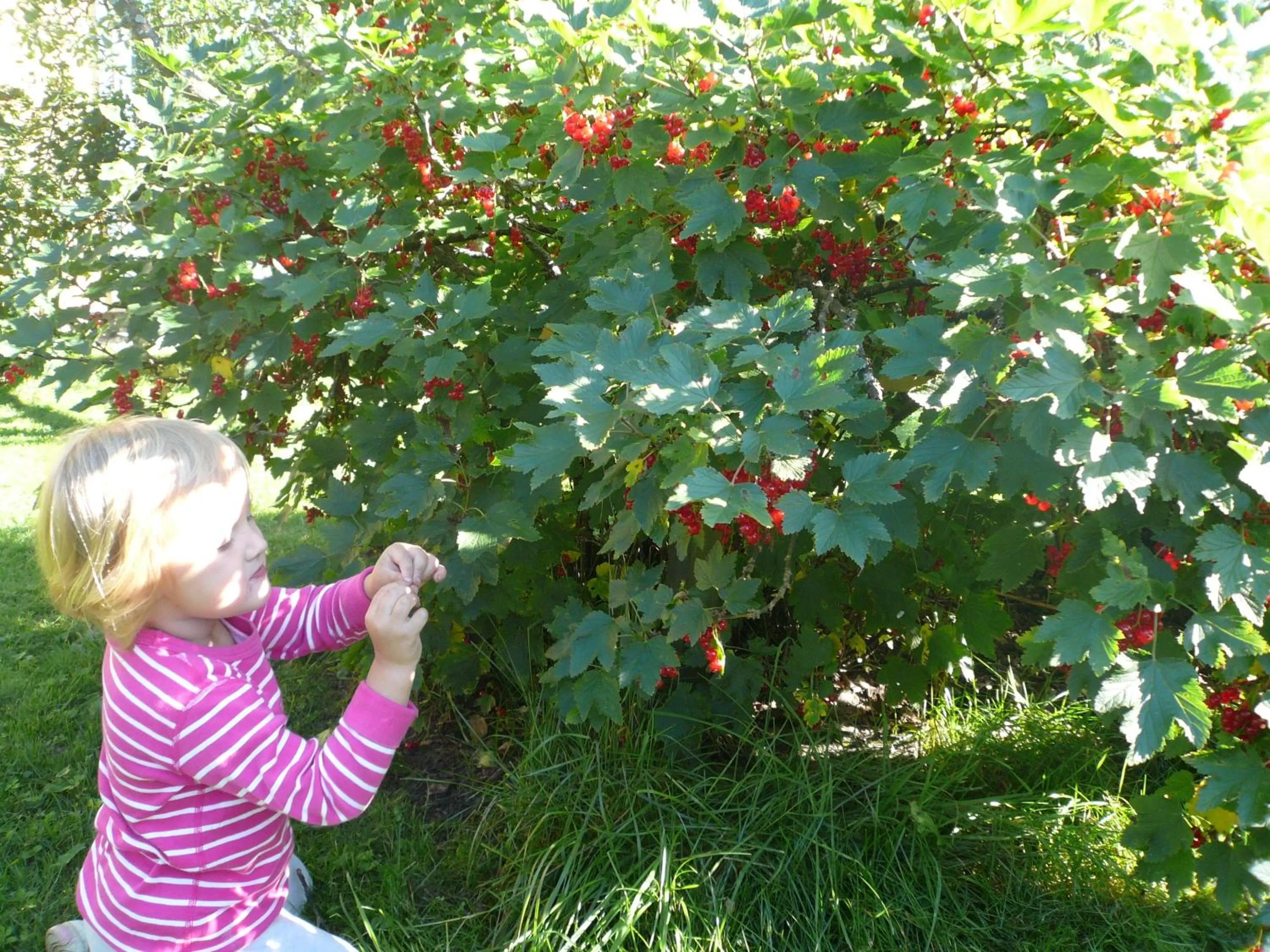 Day in B&B Lomamokkila