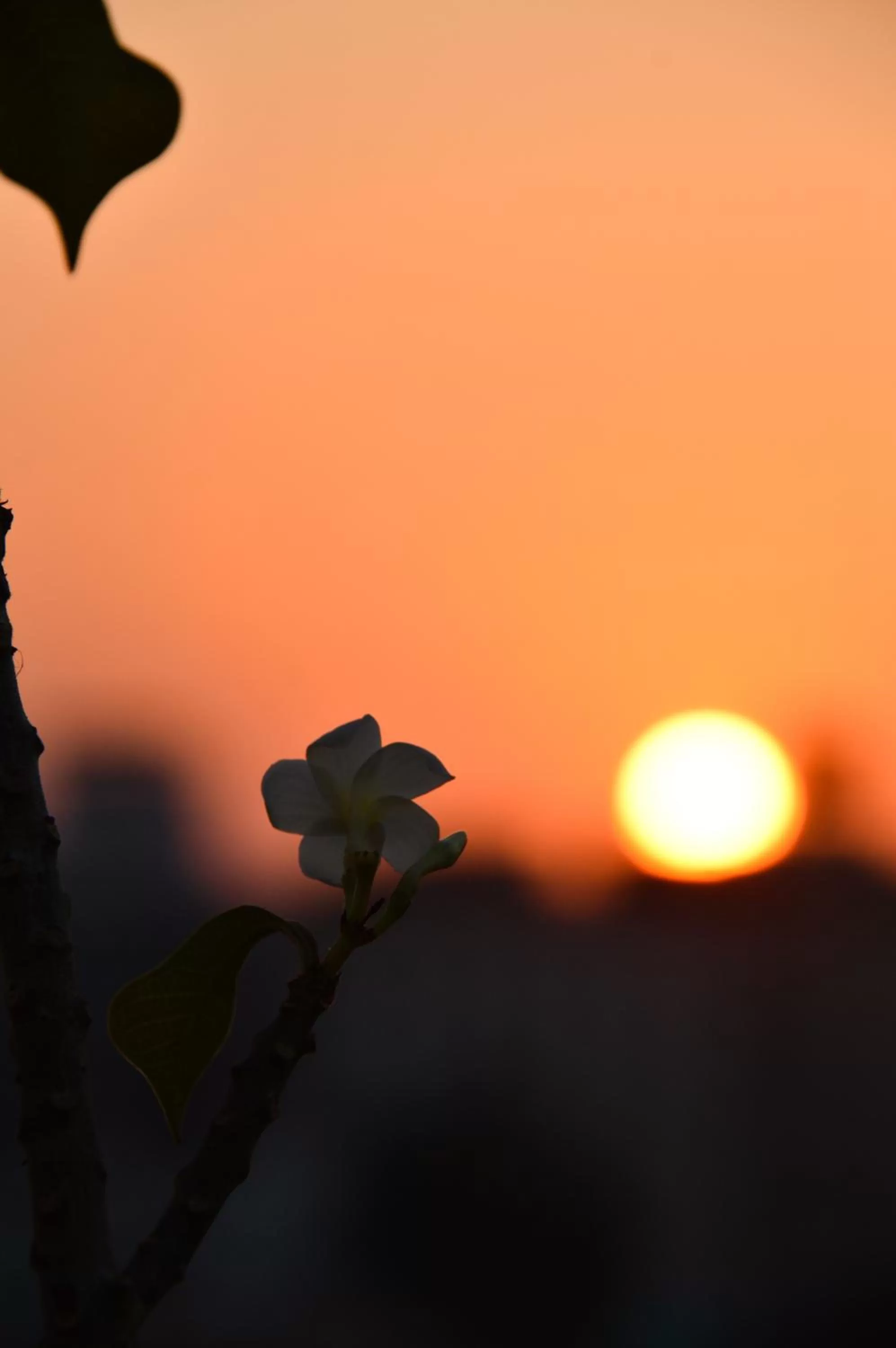 Natural landscape in Chitra Katha - A Story Per Stay