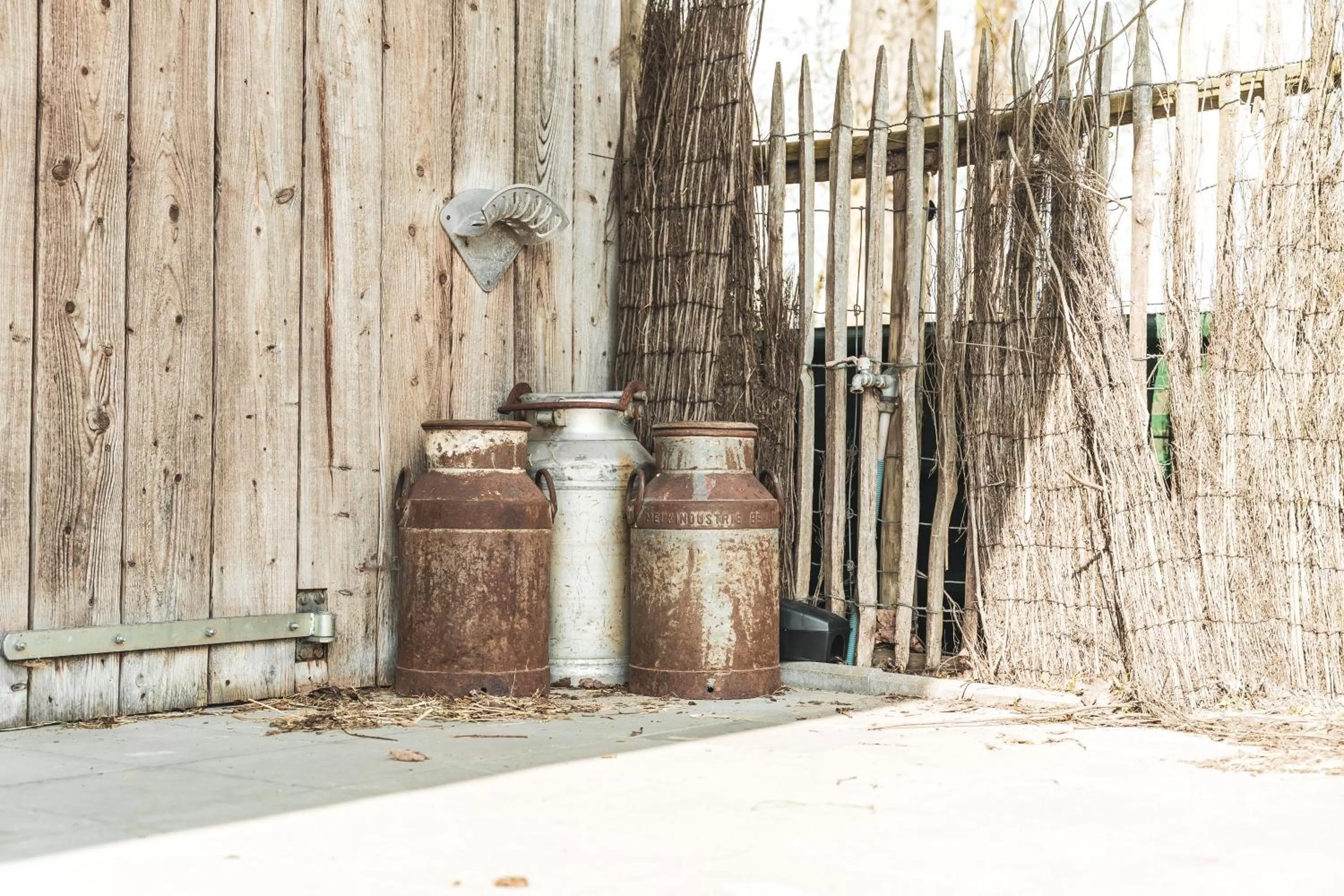 Area and facilities in B&B Extra Verte