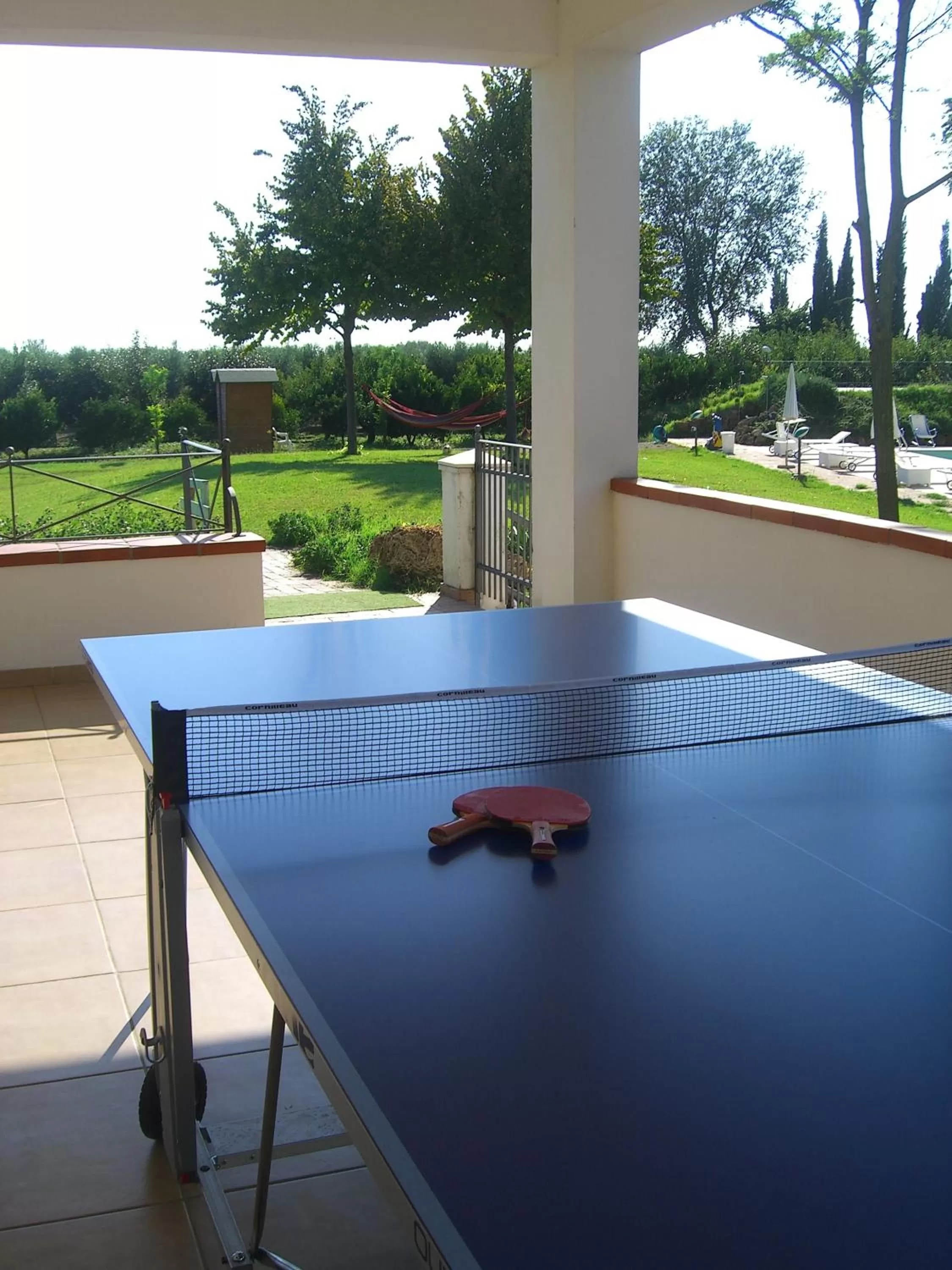 Table tennis in B&B Radici24