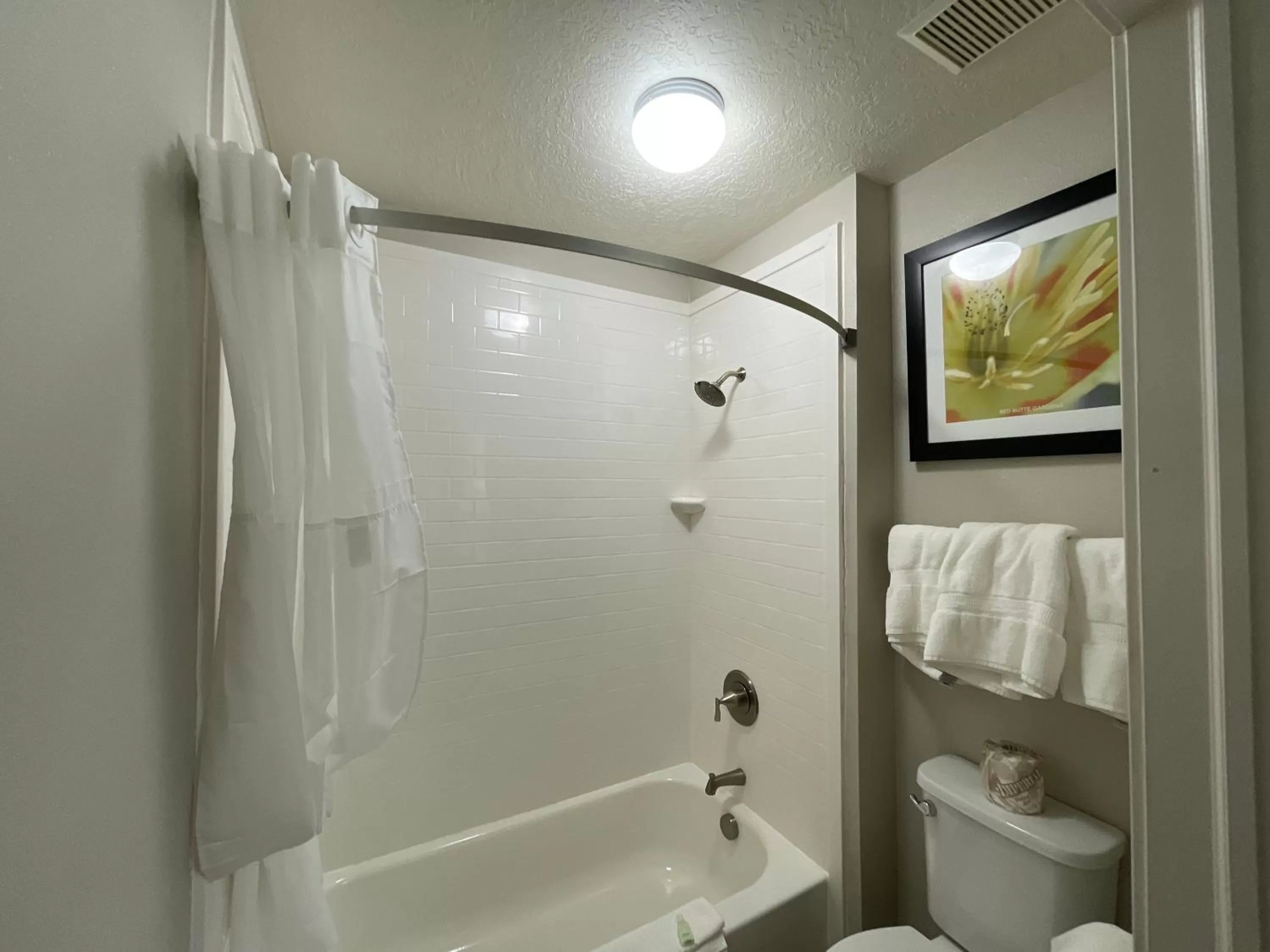 Shower in Wingate by Wyndham Cedar City