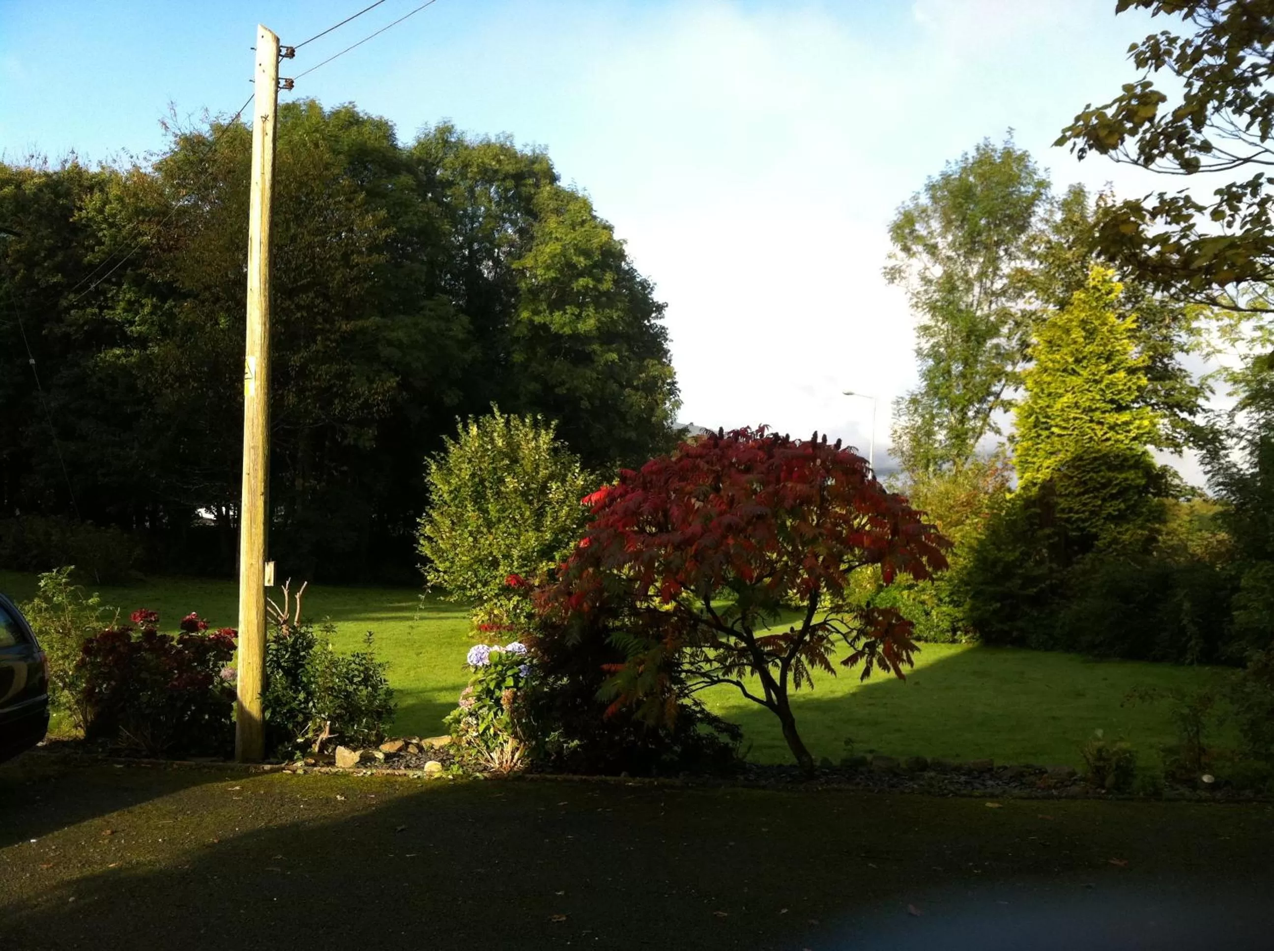 Garden view in Trem Hyfryd B&B