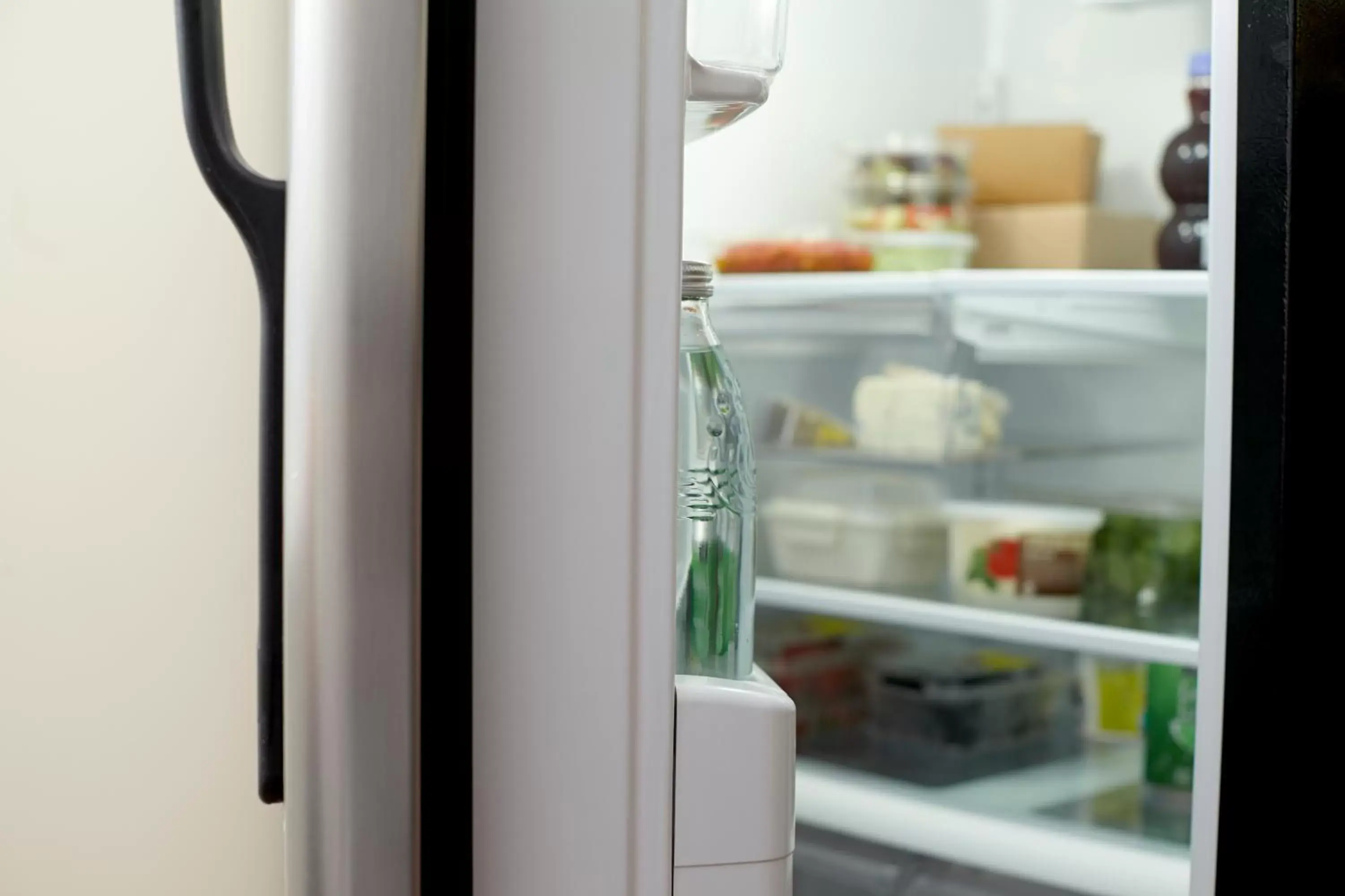 Studio with Sofa Bed in Hyatt House Raleigh Durham Airport Studio with Sofa Bed in Hyatt House Raleigh Durham Airport