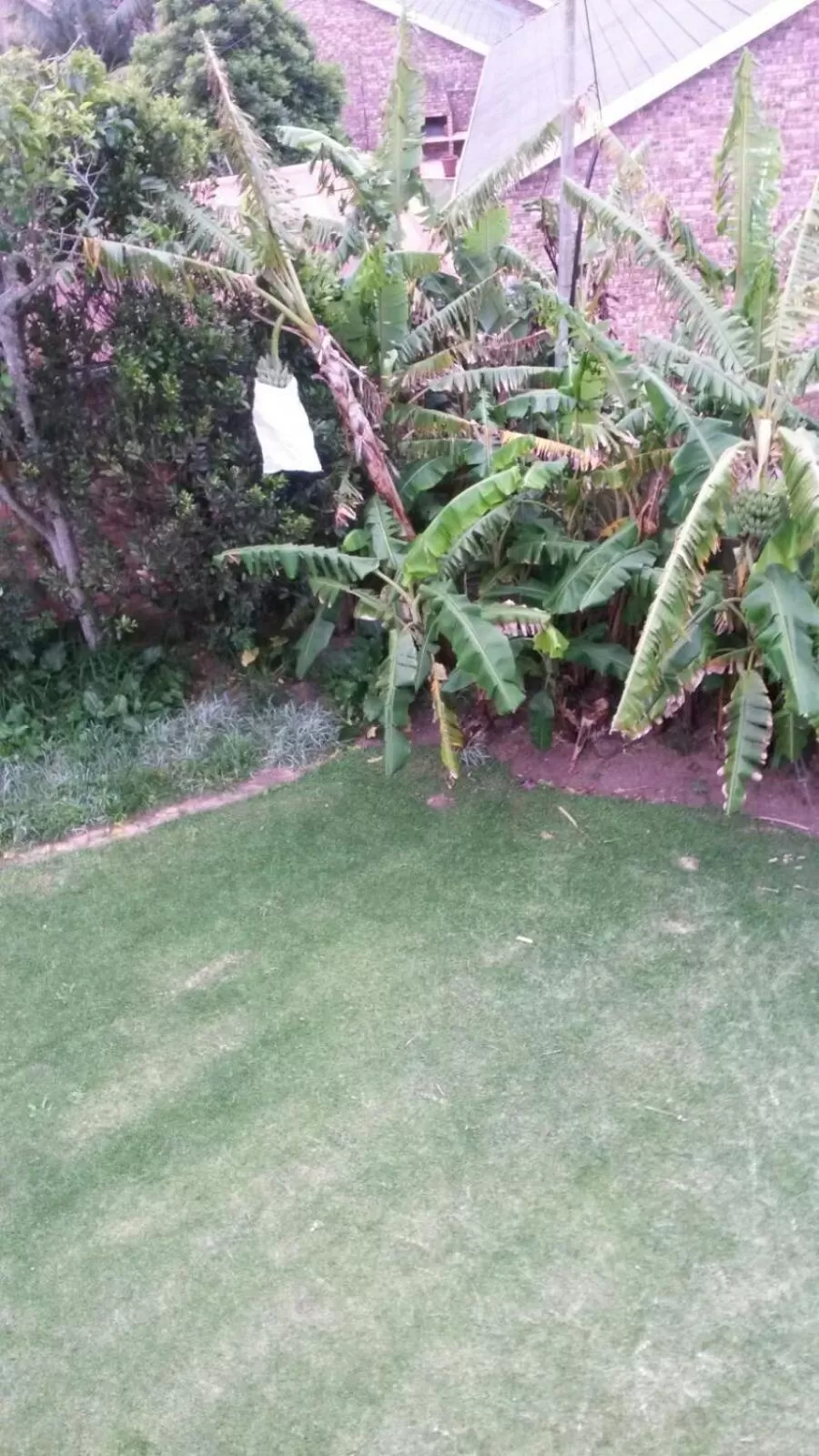 Garden in Tertia's Logcabin