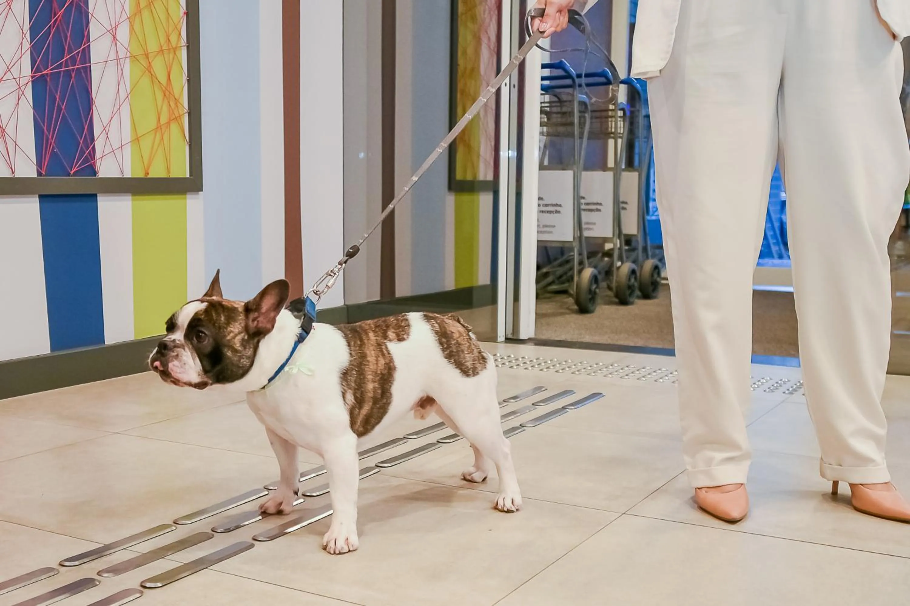 People in ibis budget Santos Gonzaga