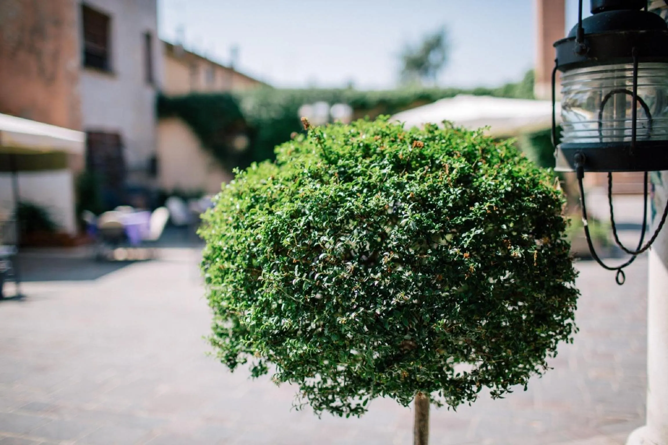 Day in Hotel San Lorenzo