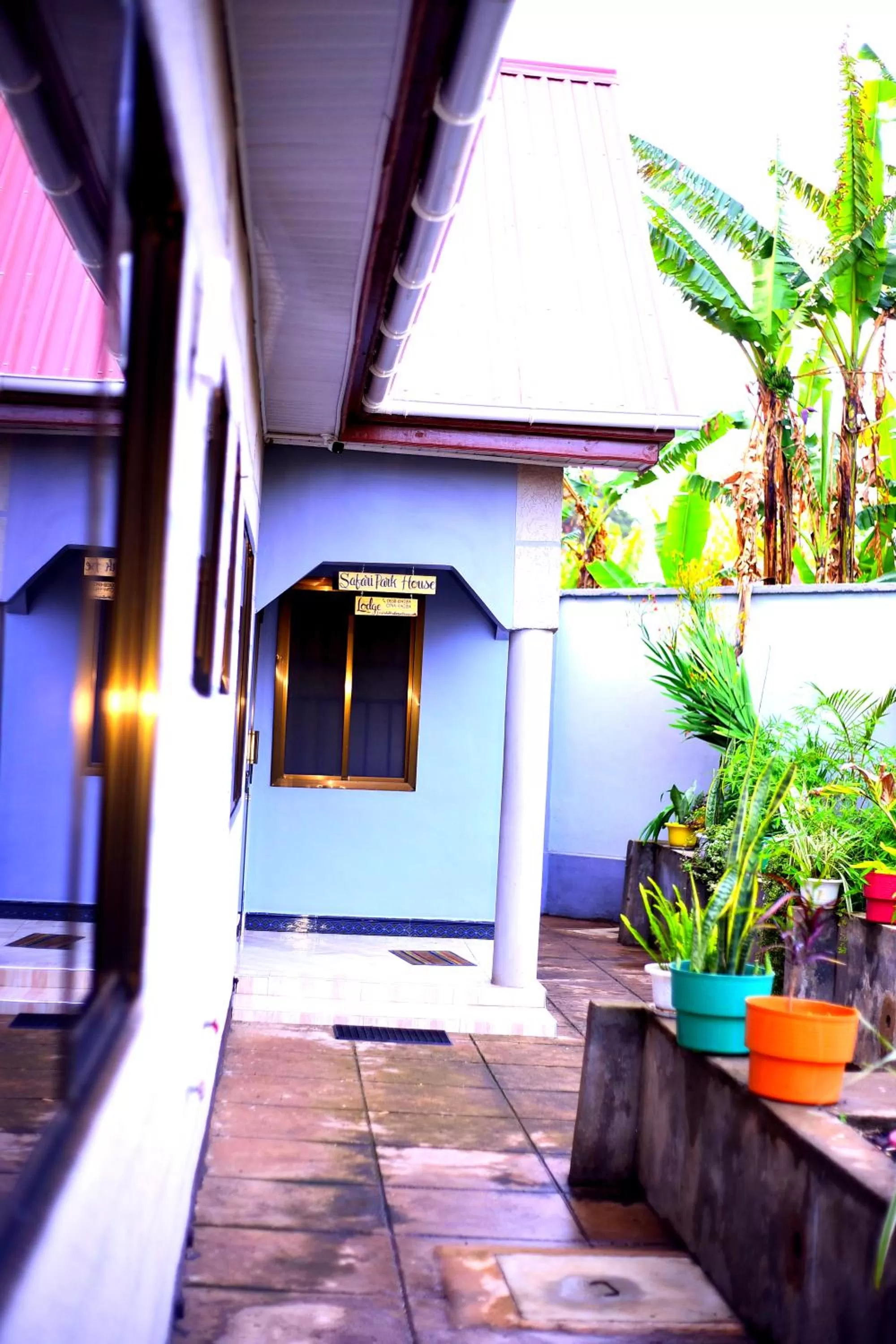 Property building in Safari Park House