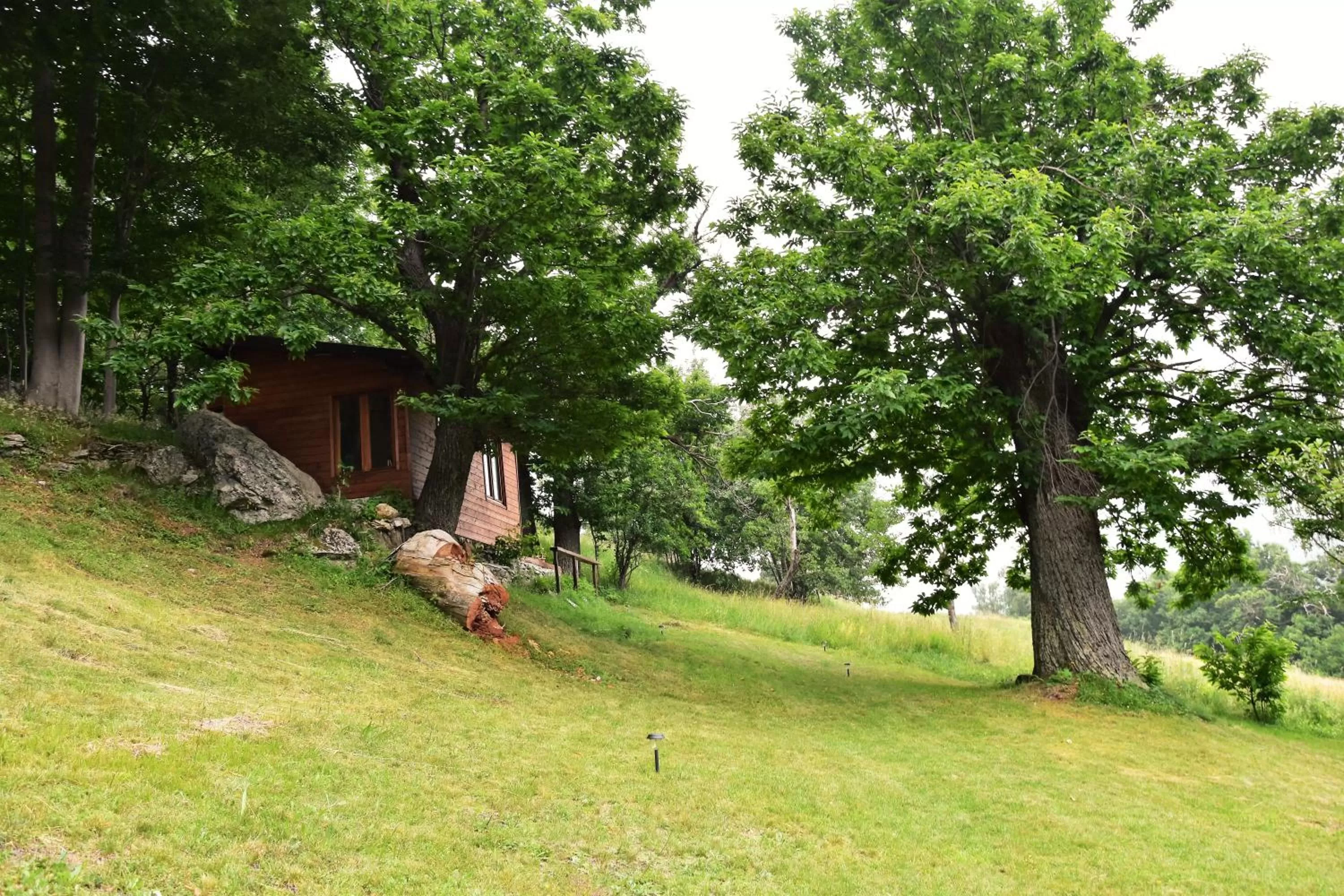 Garden in Ca-Jo Bed and Breakfast