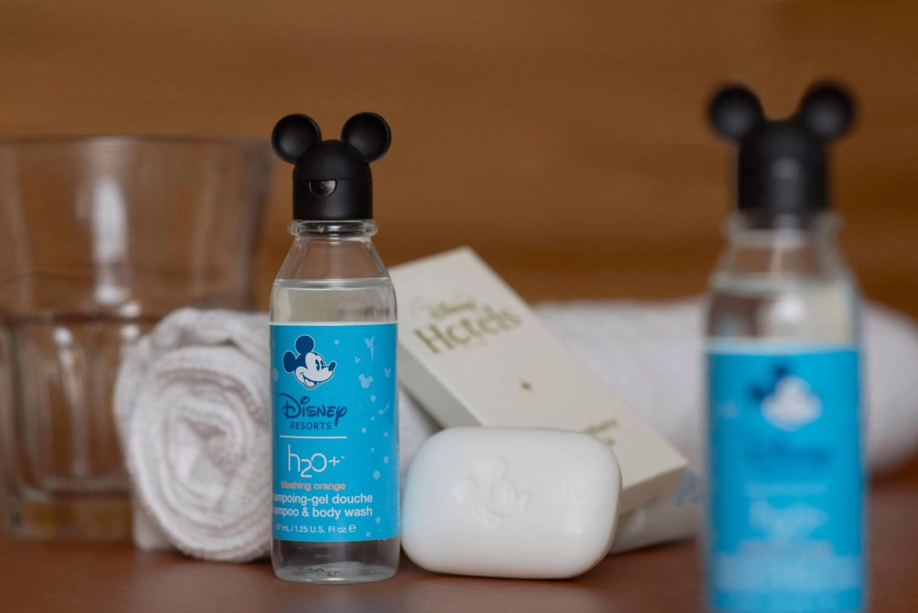 Bathroom in Disney Davy Crockett Ranch