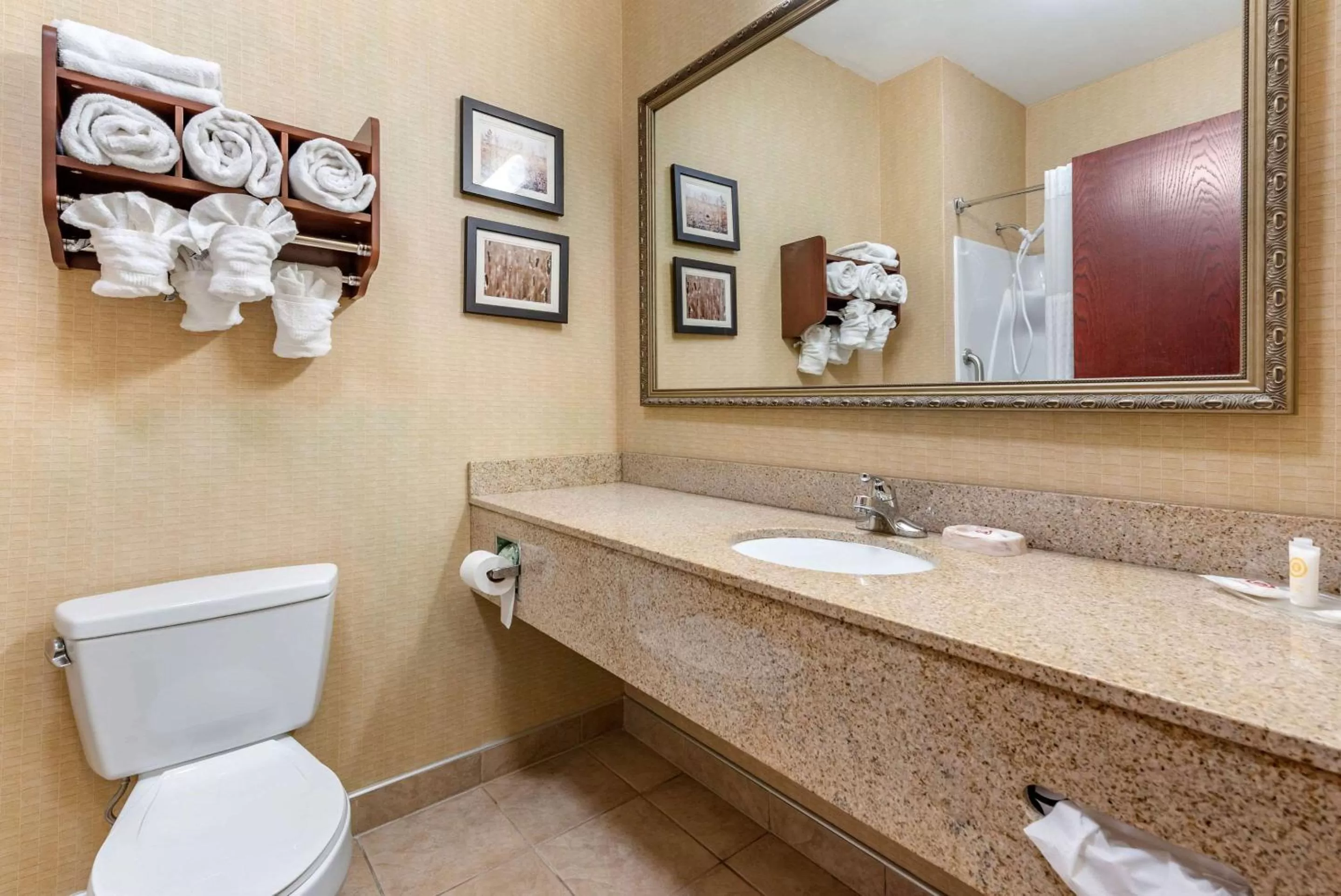Bathroom in Comfort Suites Elkhart South
