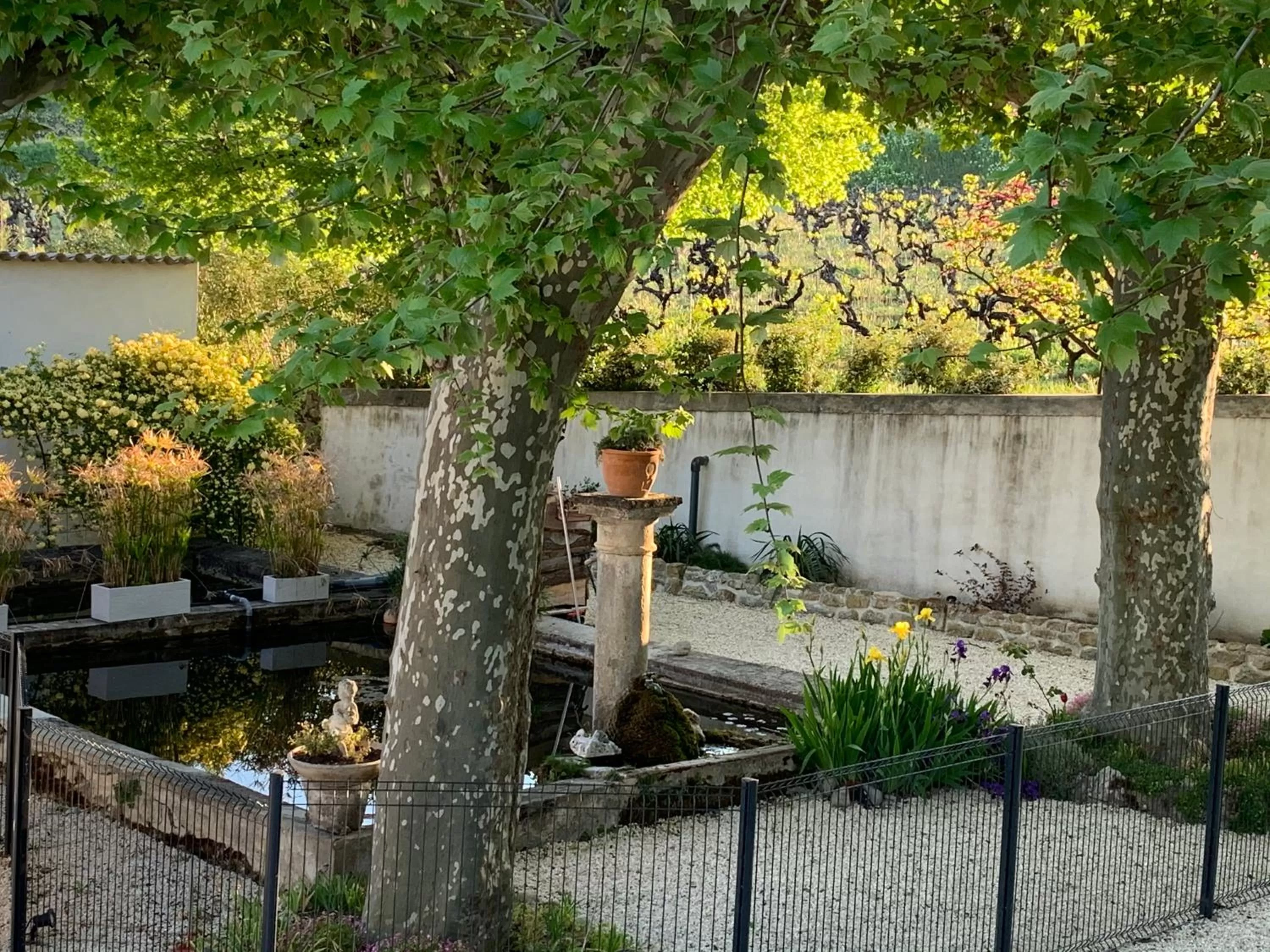 Spring in DOMAINE FORVENT