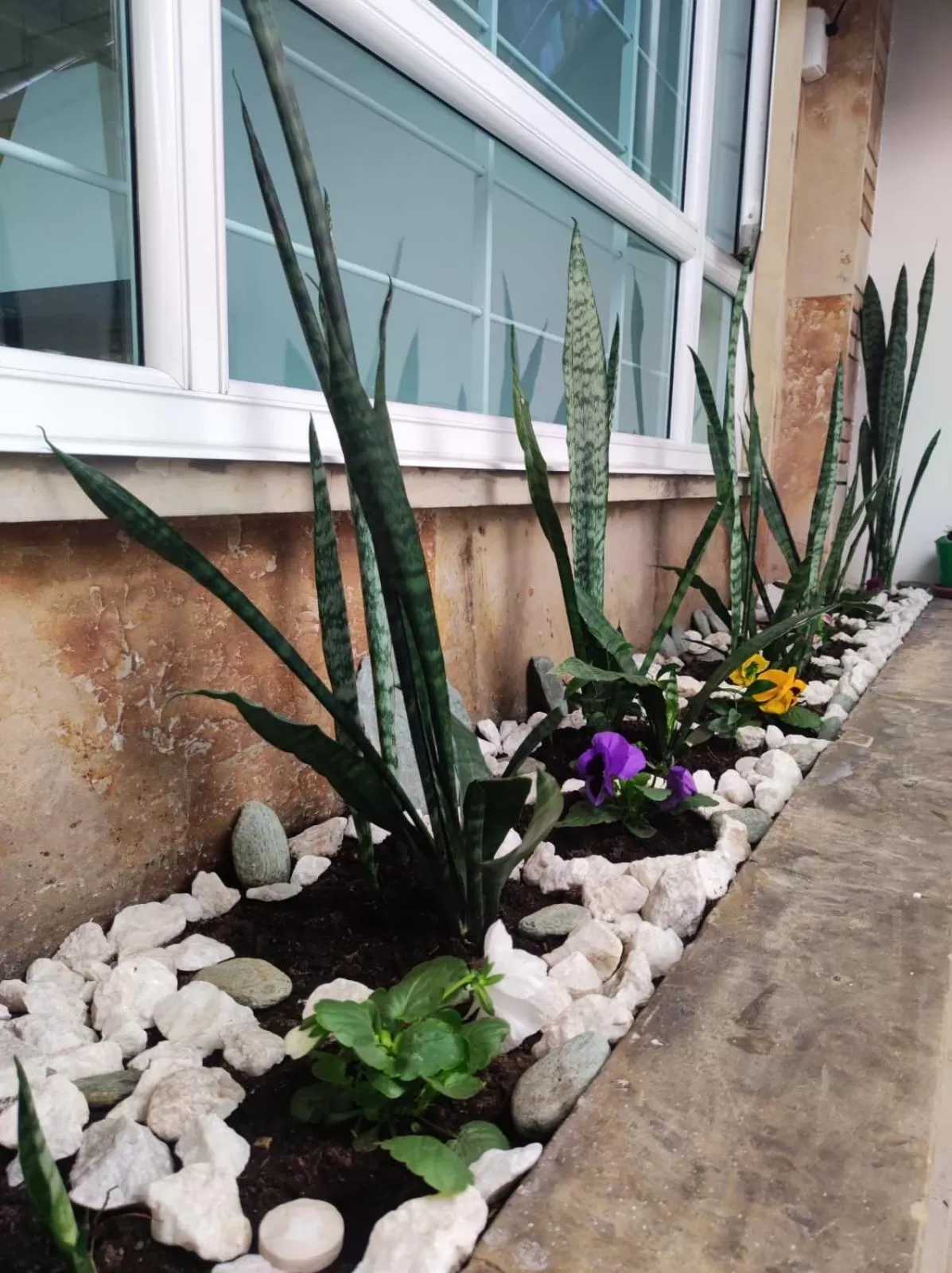 Property building in Hotel Montefiore