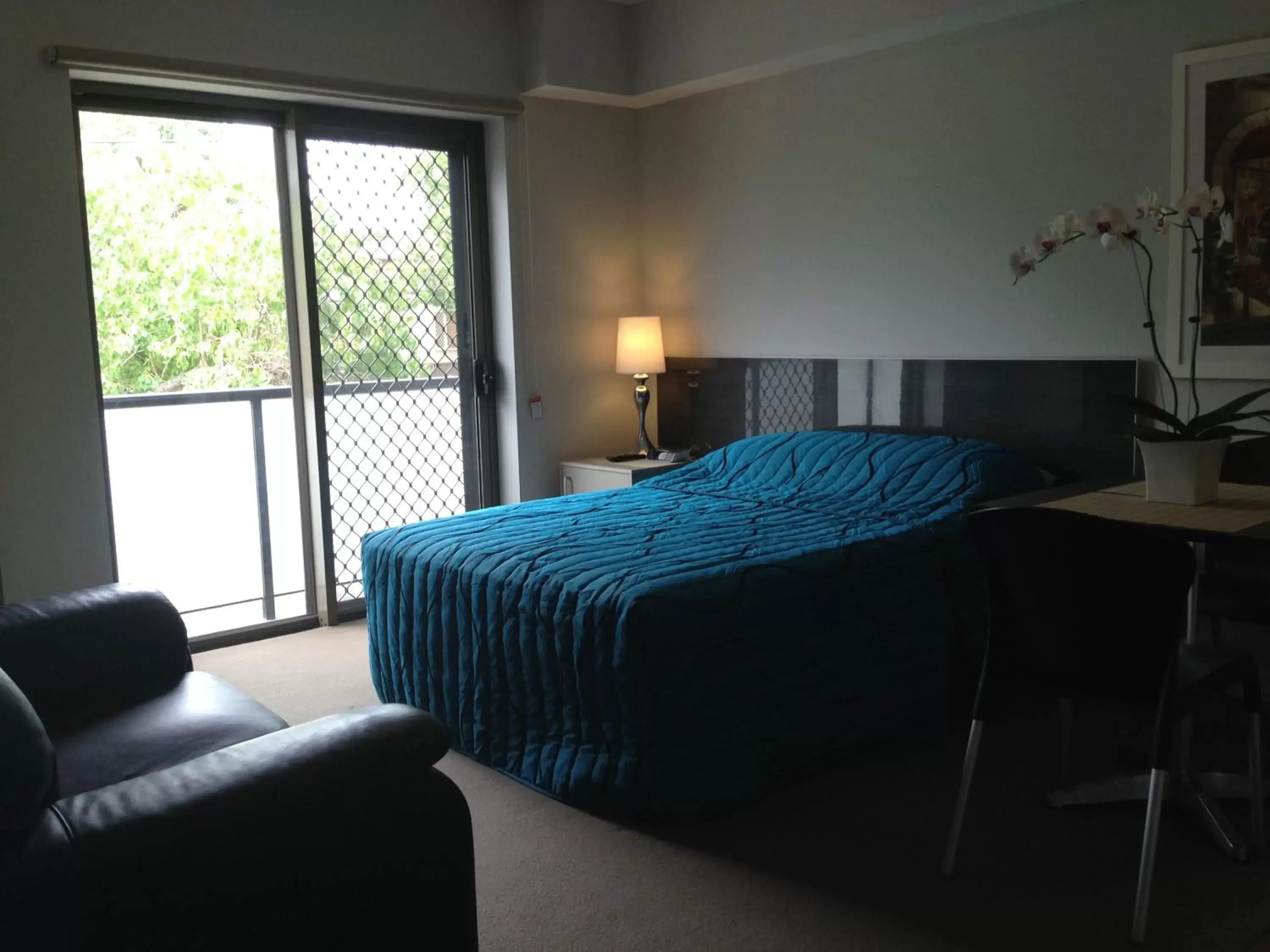 Deluxe Suite in Strathfield Executive Accommodation Deluxe Suite in Strathfield Executive Accommodation