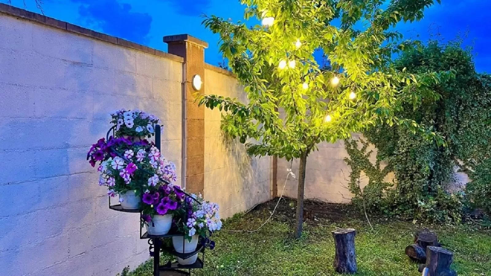 Garden in Hotel Oxford By TimHotels