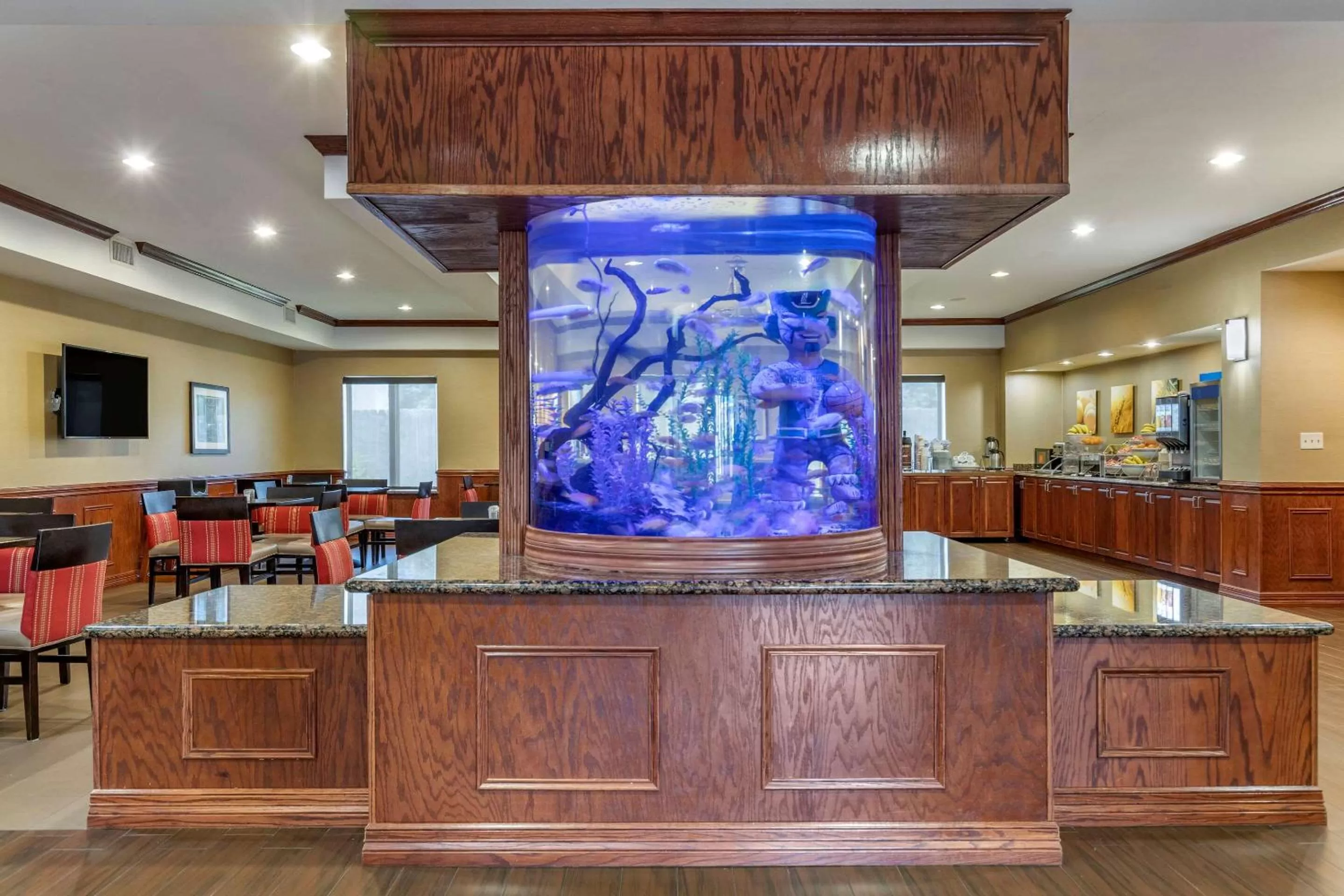Lobby or reception in Comfort Suites Near Texas A&M - Corpus Christi