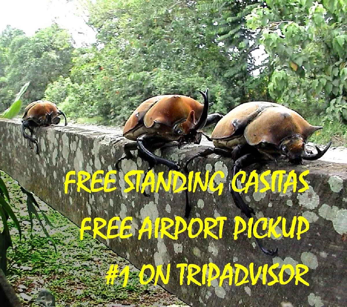 Activities in Pura Vida Hotel