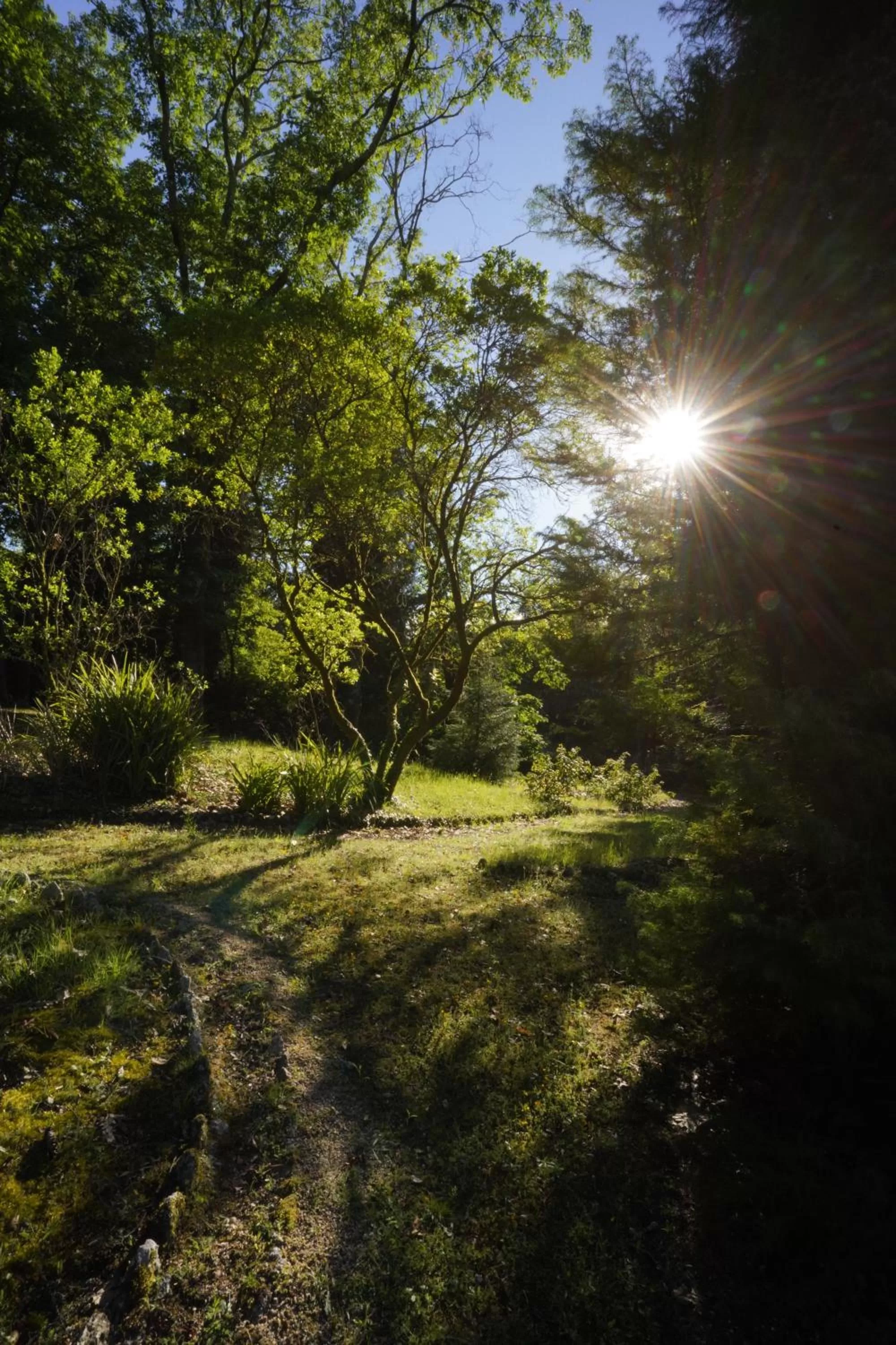 Natural landscape in The Grove Houses