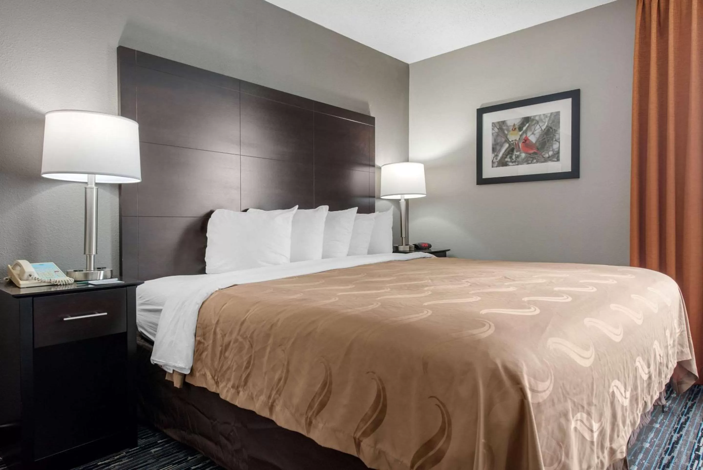 Photo of the whole room, Bed in Quality Inn & Suites Brownsburg - Indianapolis West