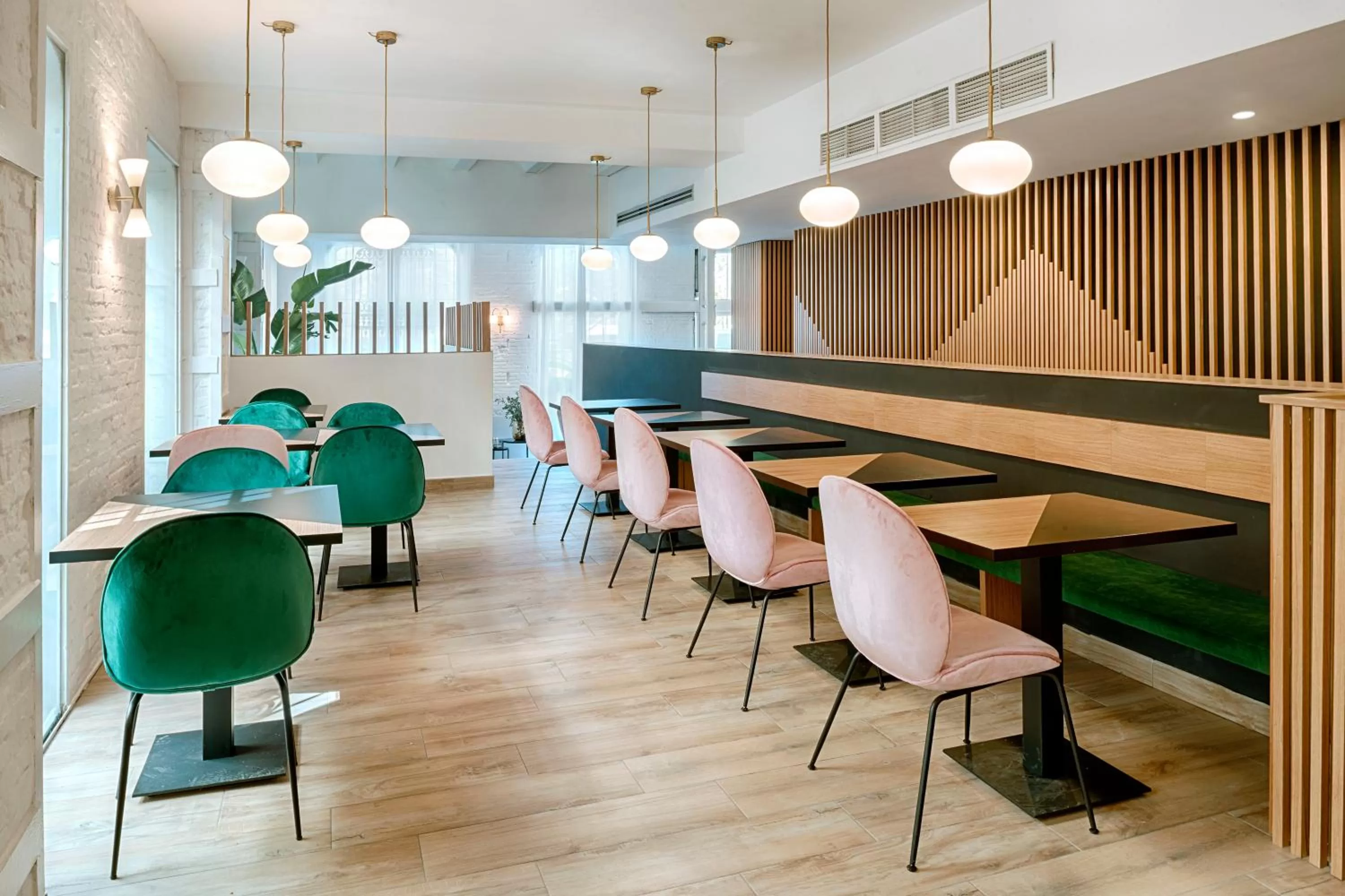 Restaurant/places to eat in Blanq Carmen Hotel