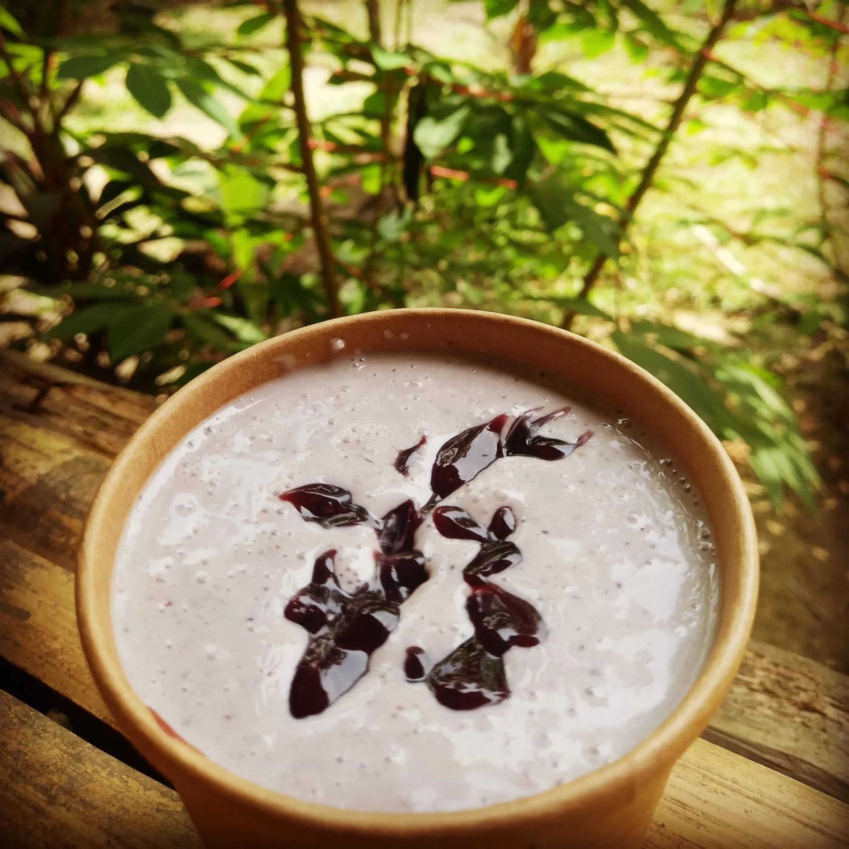 Banana Grove El Nido