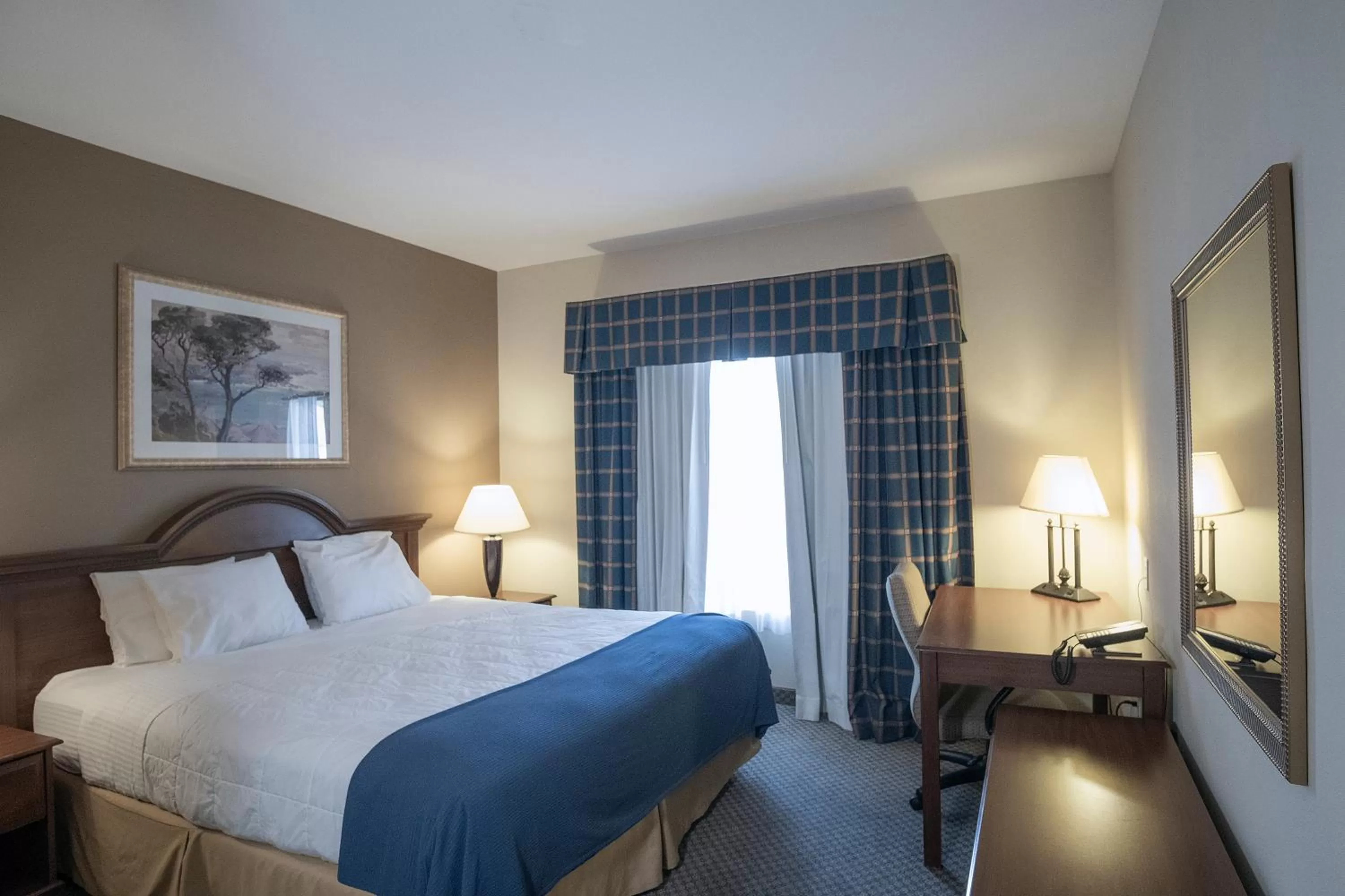 Bed in Oasis Inn & Suites 29 Palms Hotel Joshua Tree National Park