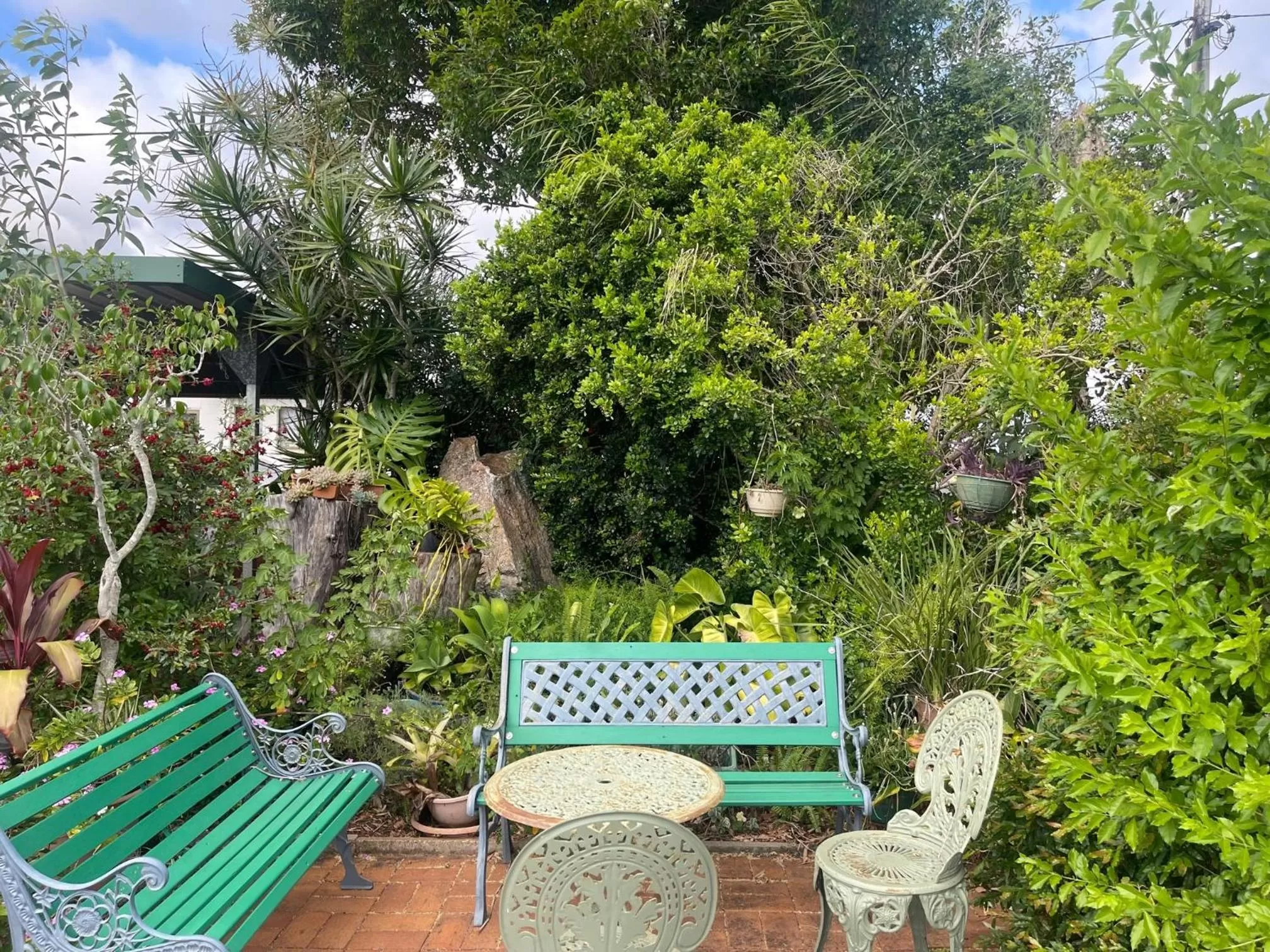 Patio/Outdoor Area in Avocado Motor Inn