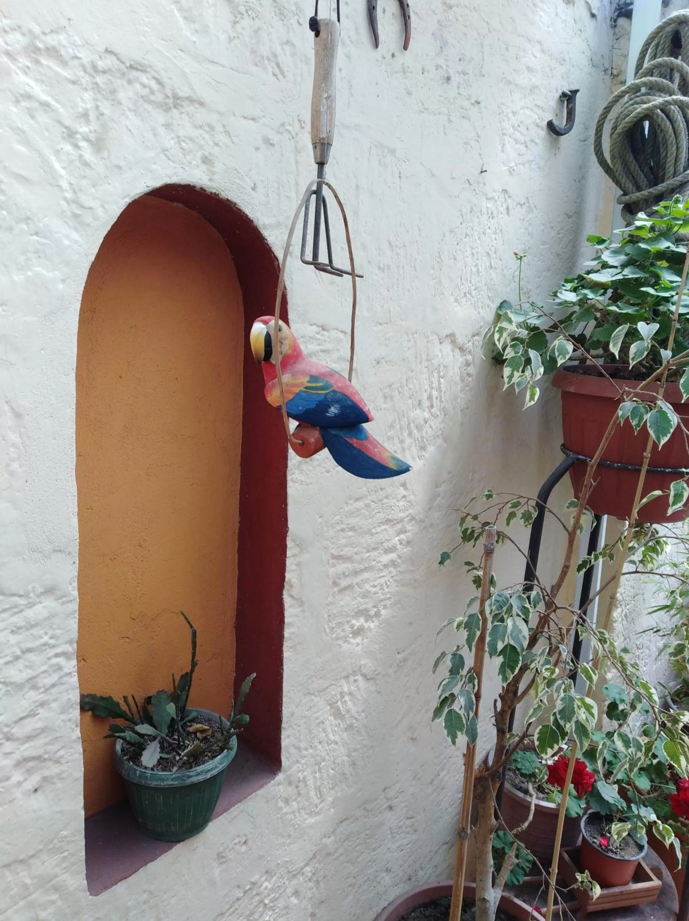 Balcony/Terrace in Hotel Rodelu