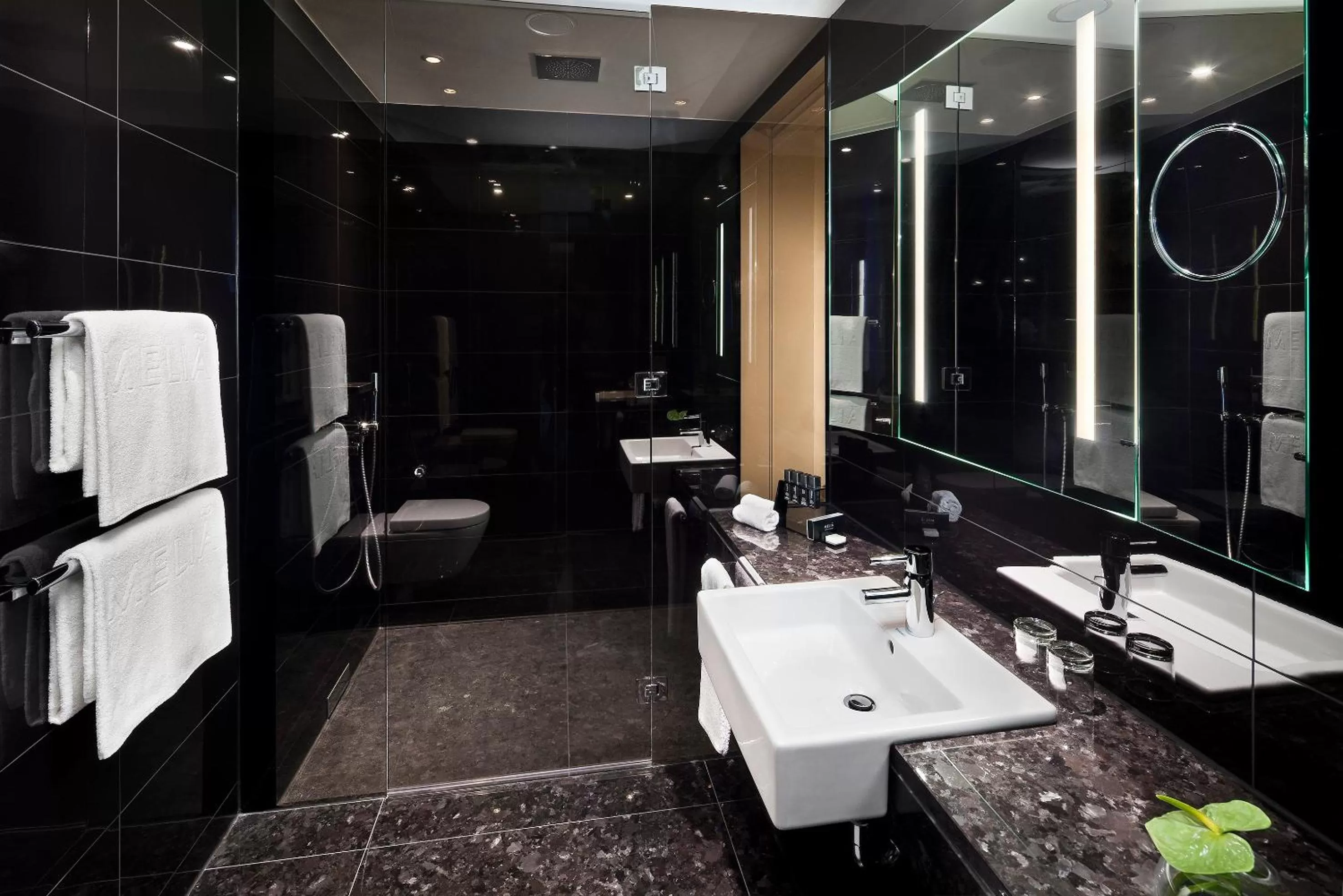 Shower in Melia Vienna
