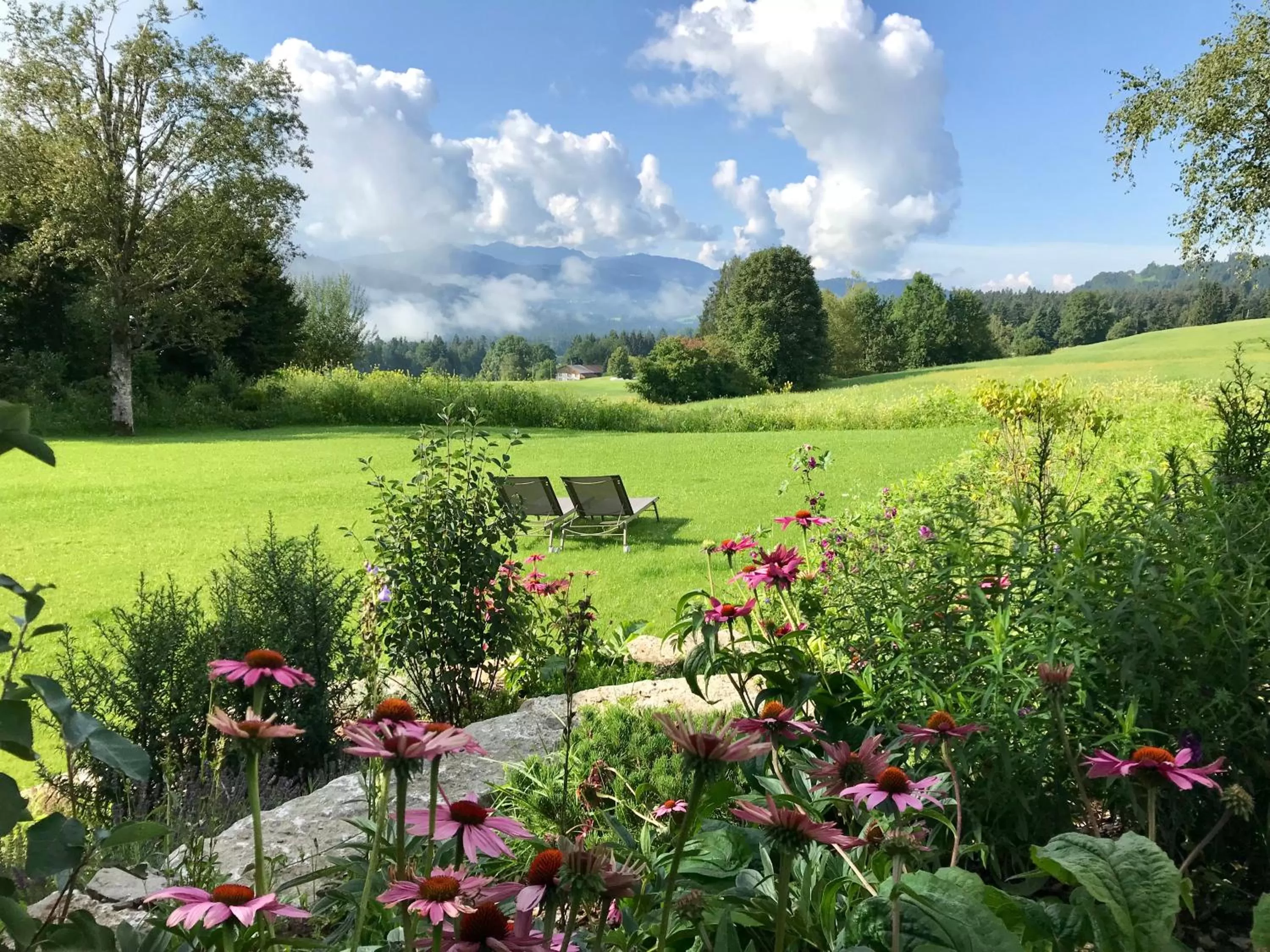 Summer in Alpenloge Hotel