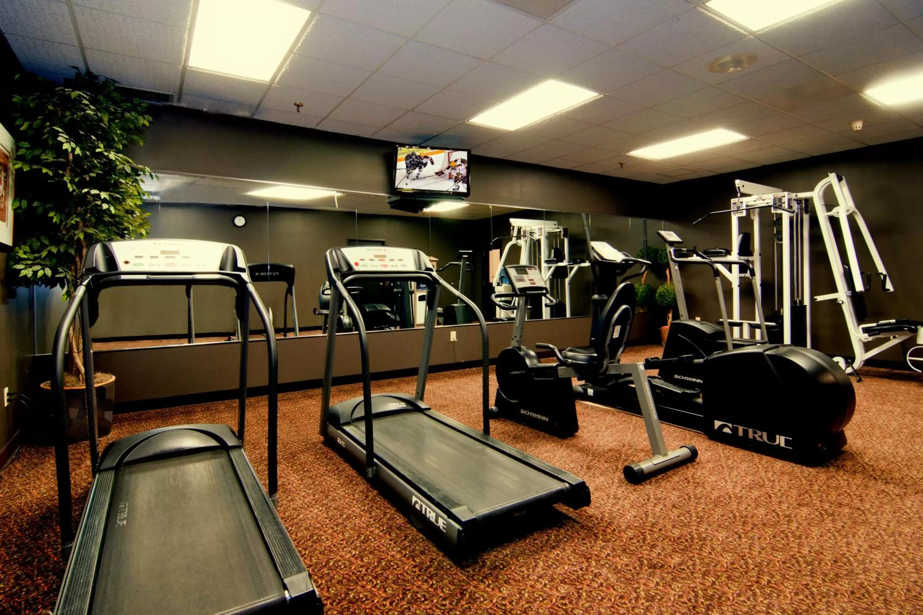 Fitness centre/facilities in Centerstone Plaza Hotel Soldiers Field - Mayo Clinic Area