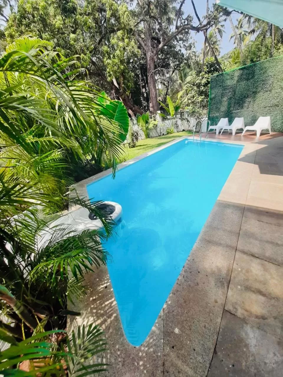 Pool view, Swimming Pool in HALF Hotel, Calangute