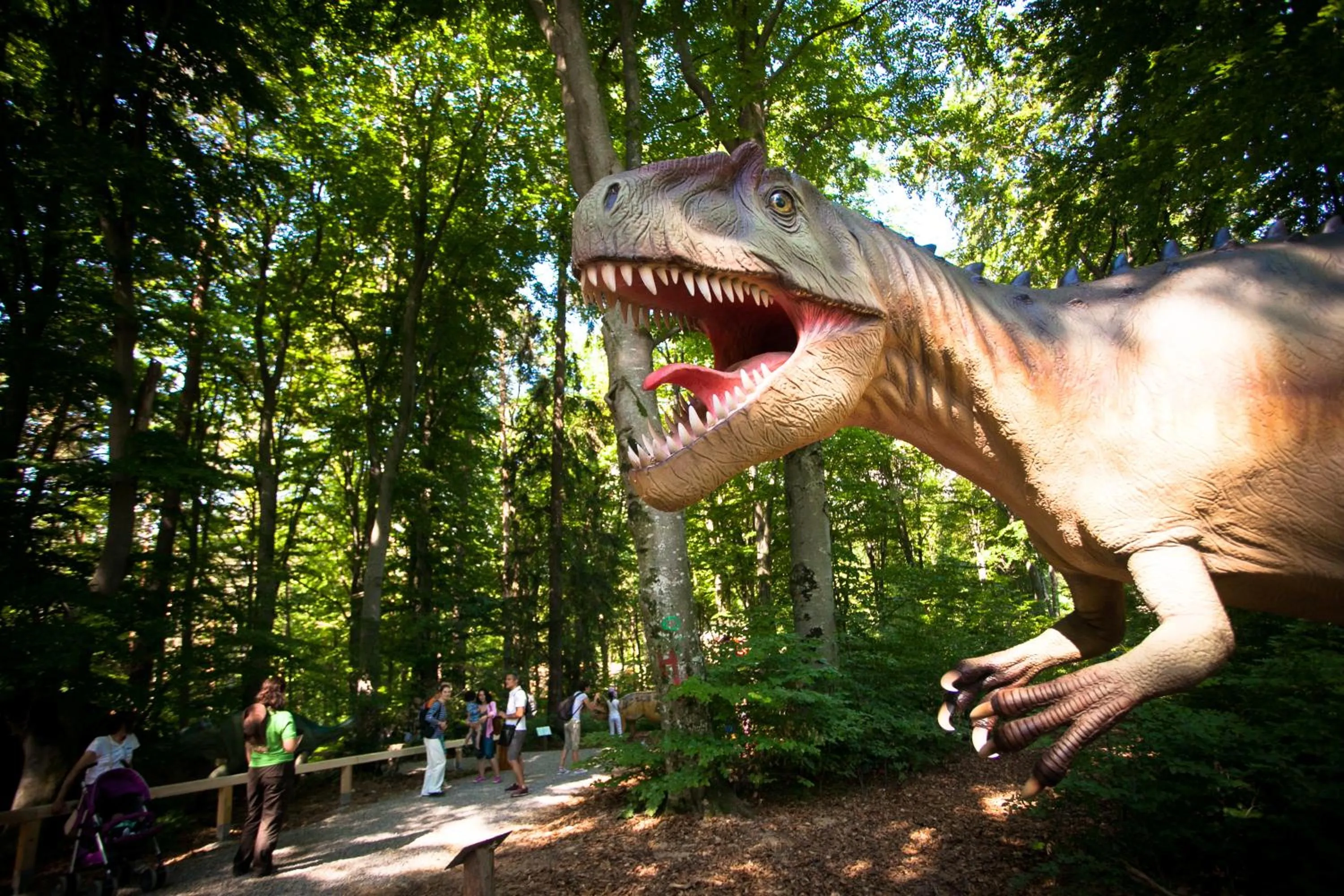 Animals in Lux Garden Hotel