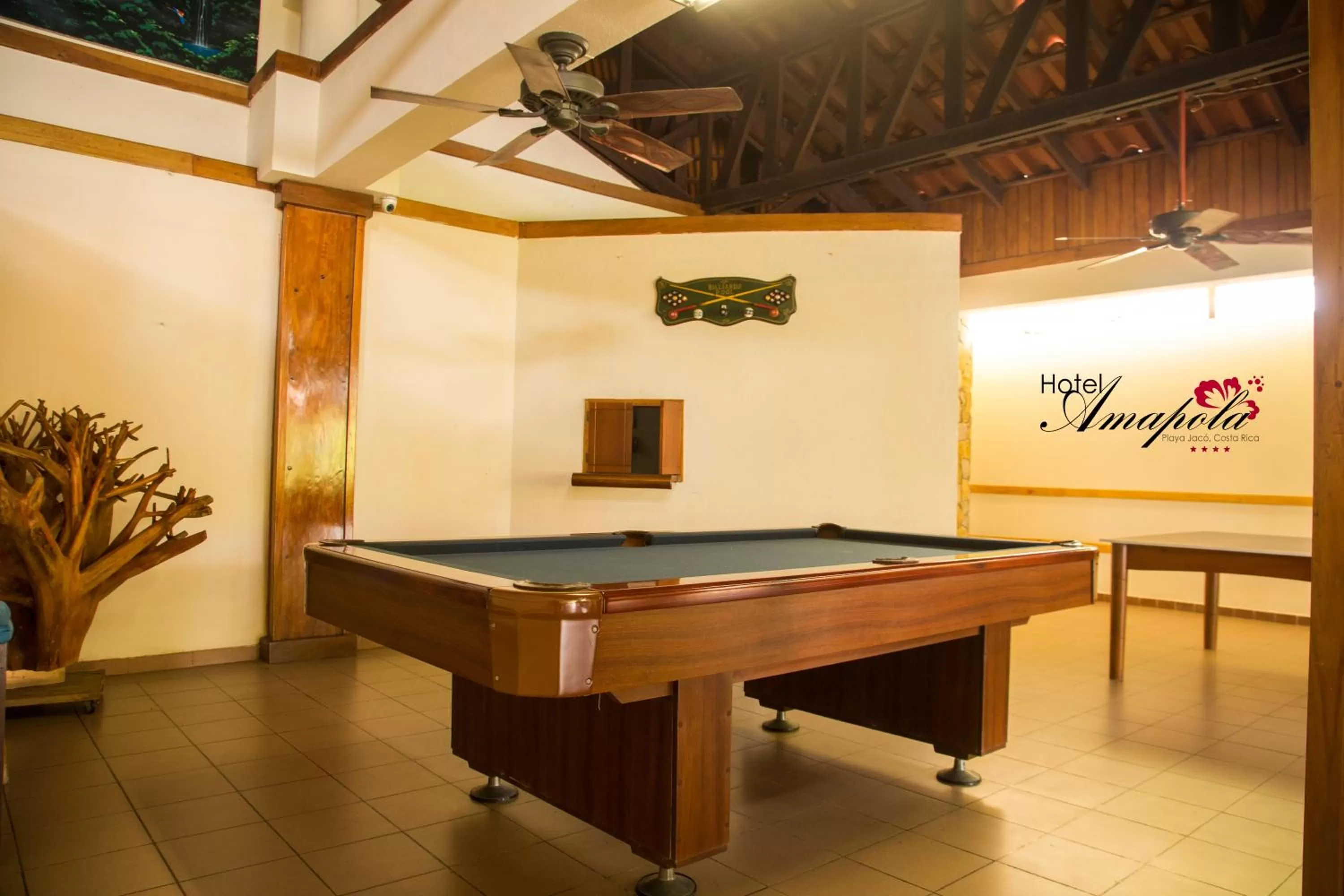 Billiard in Amapola Resort