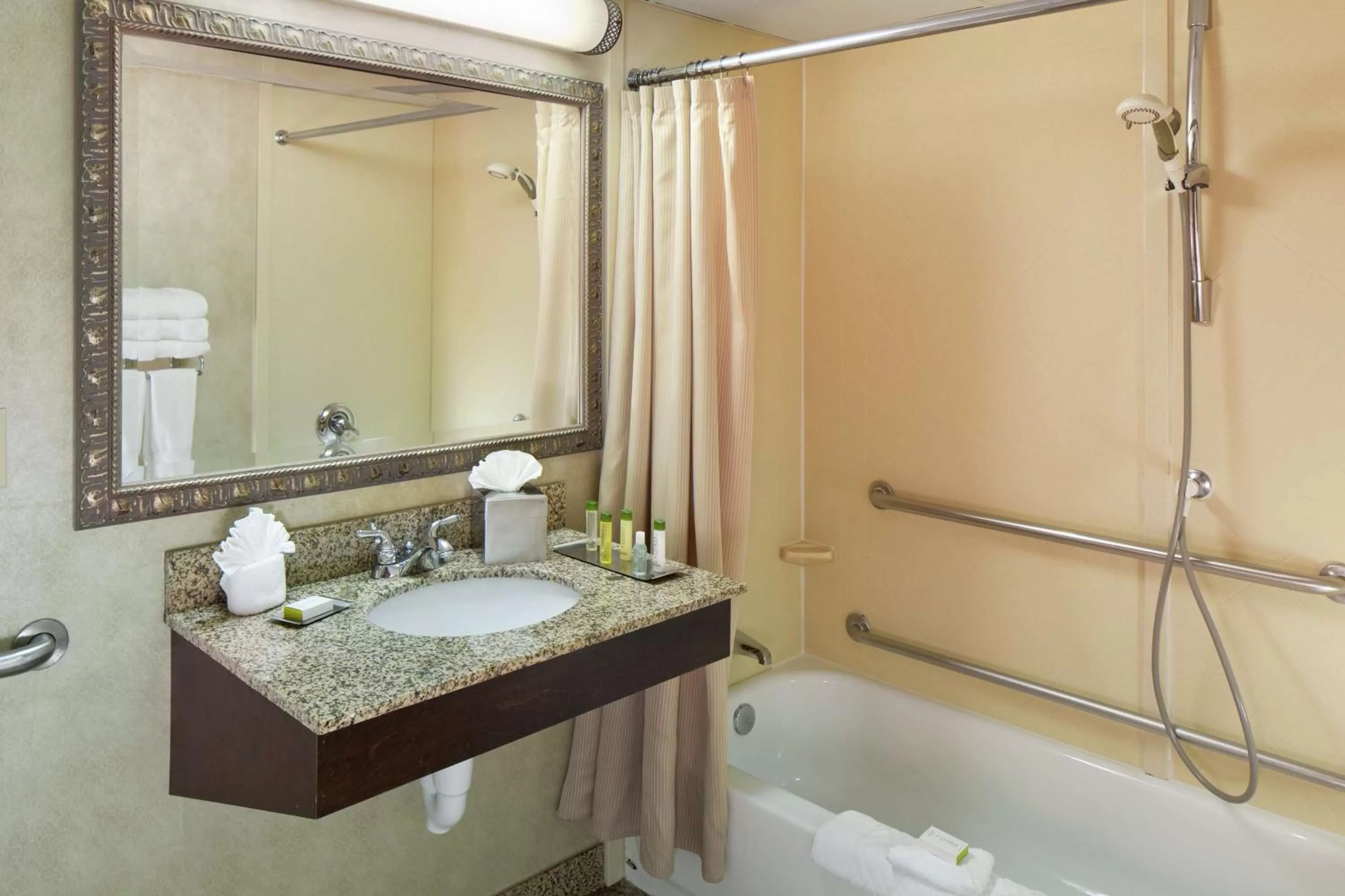Bathroom in DoubleTree by Hilton Boston-Milford