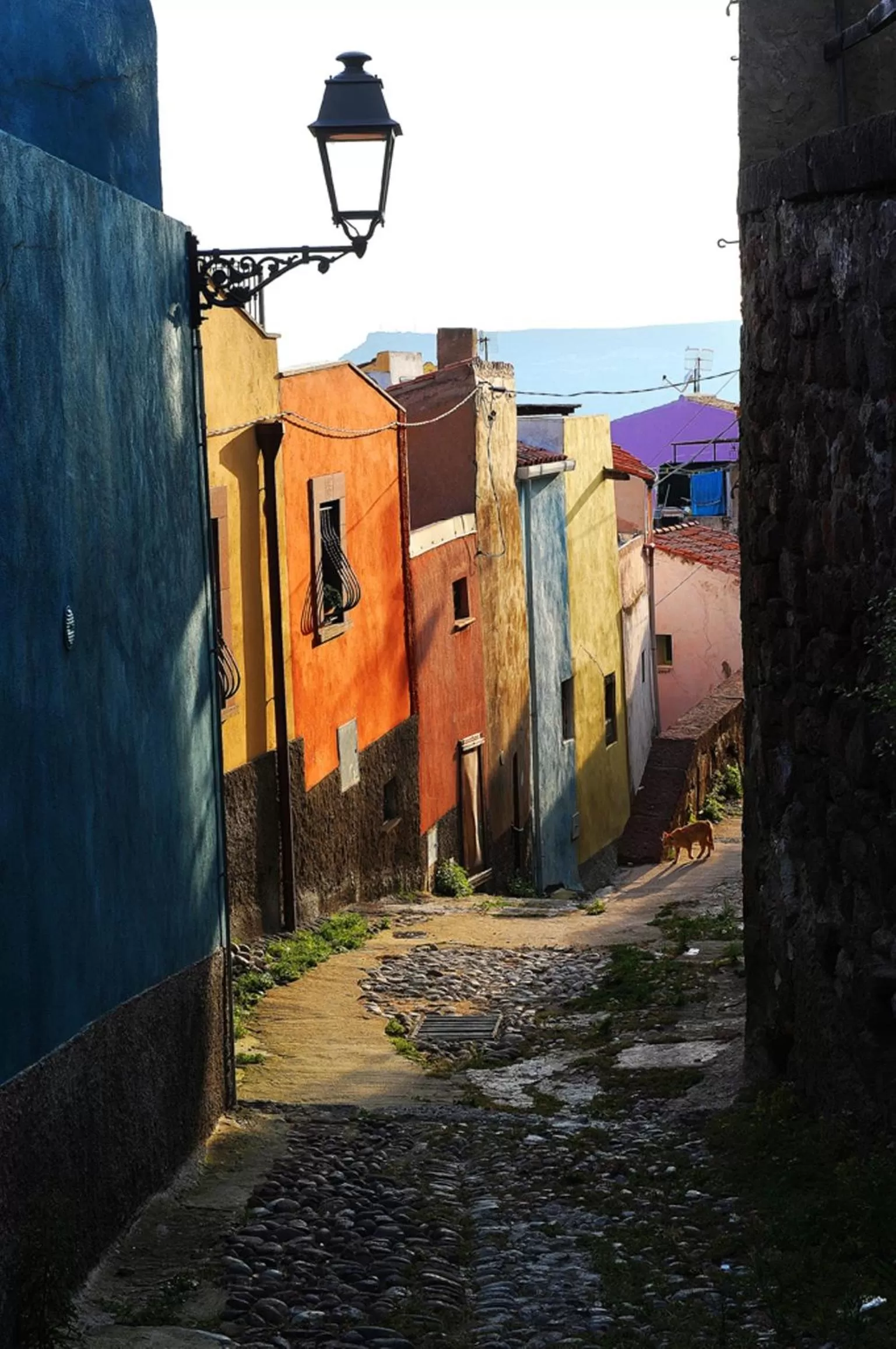 Hiking in Hotel Baja Romantica