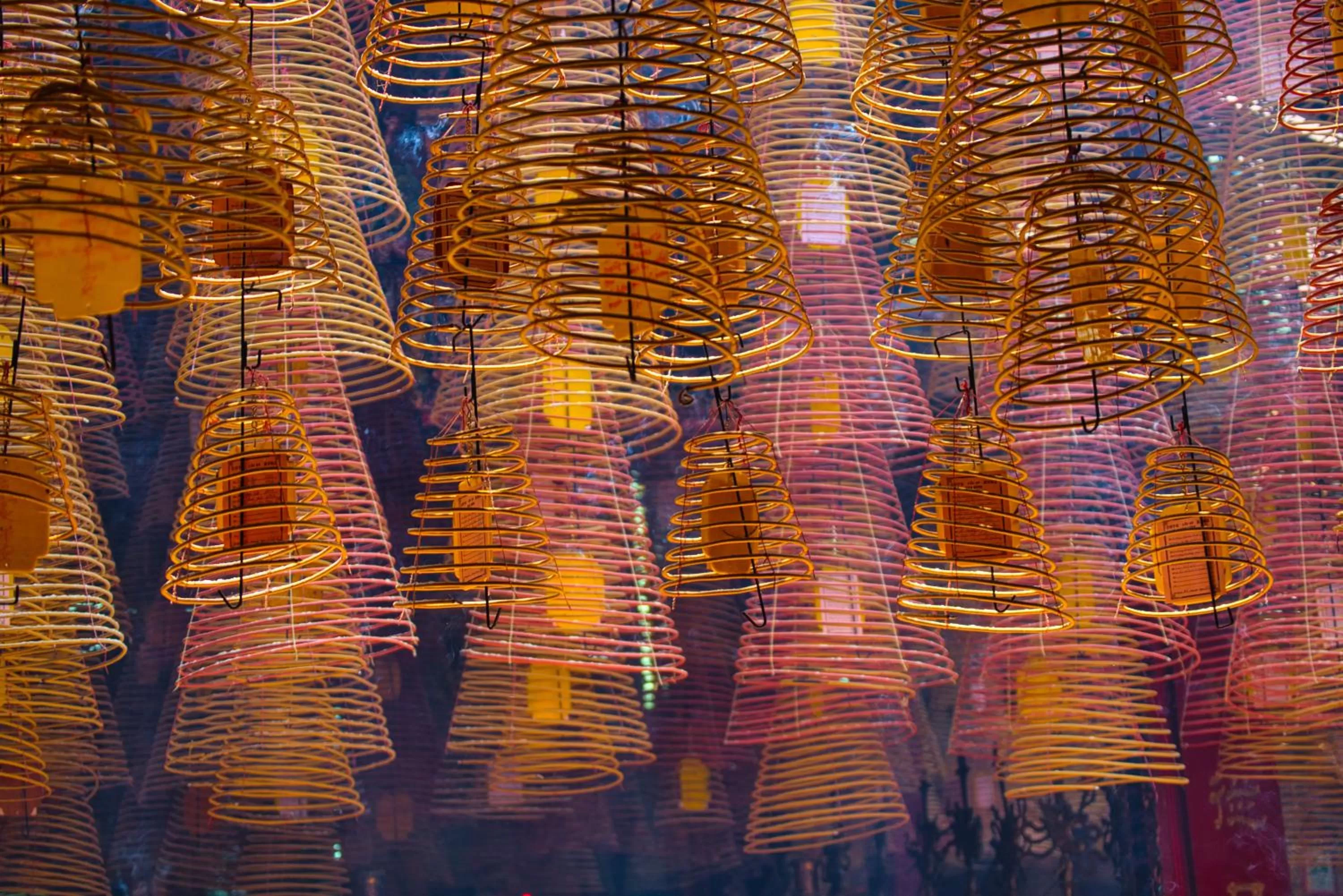 Activities in Azerai Can Tho