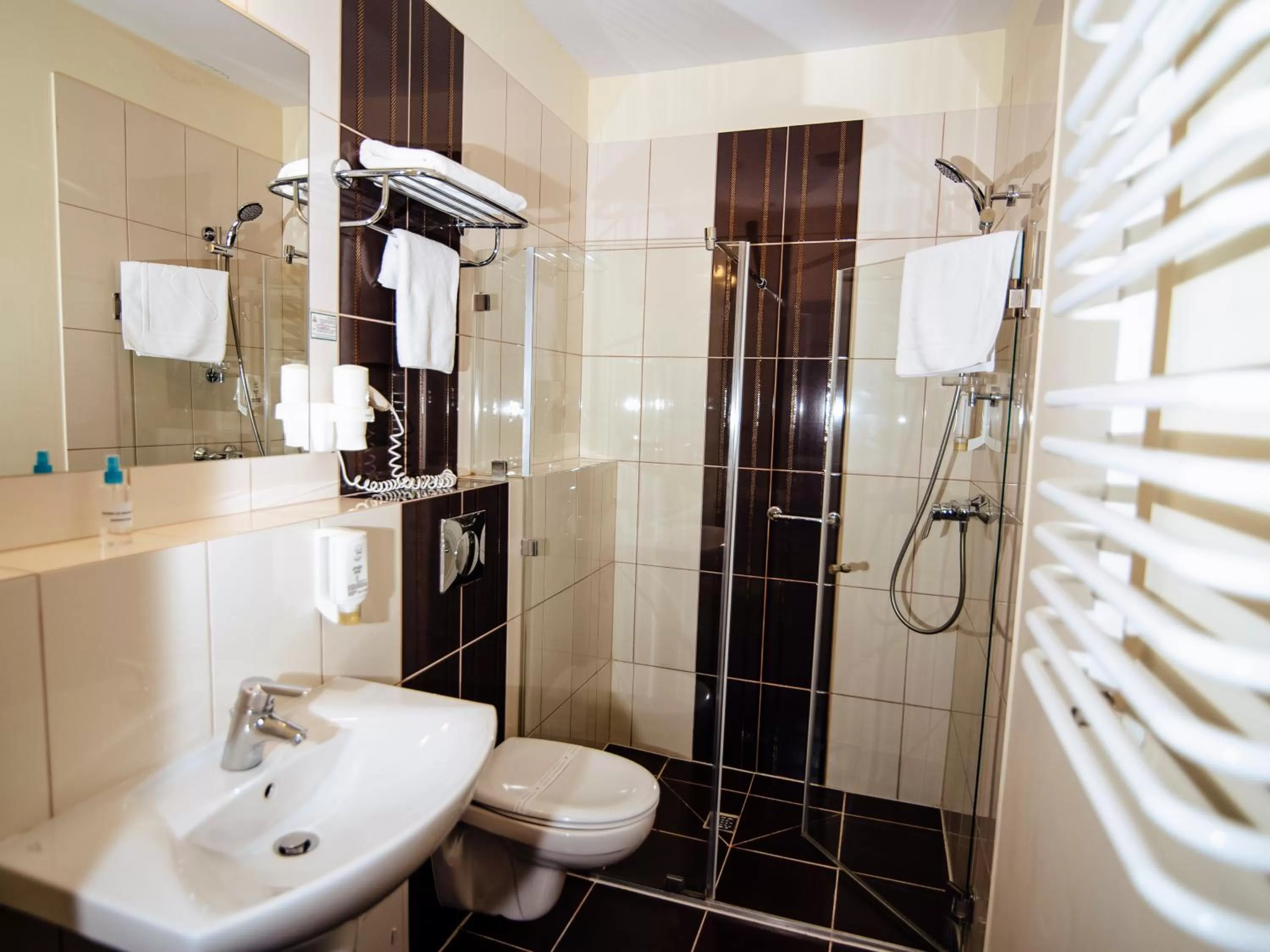 Shower in Hotel Zamek Gniew