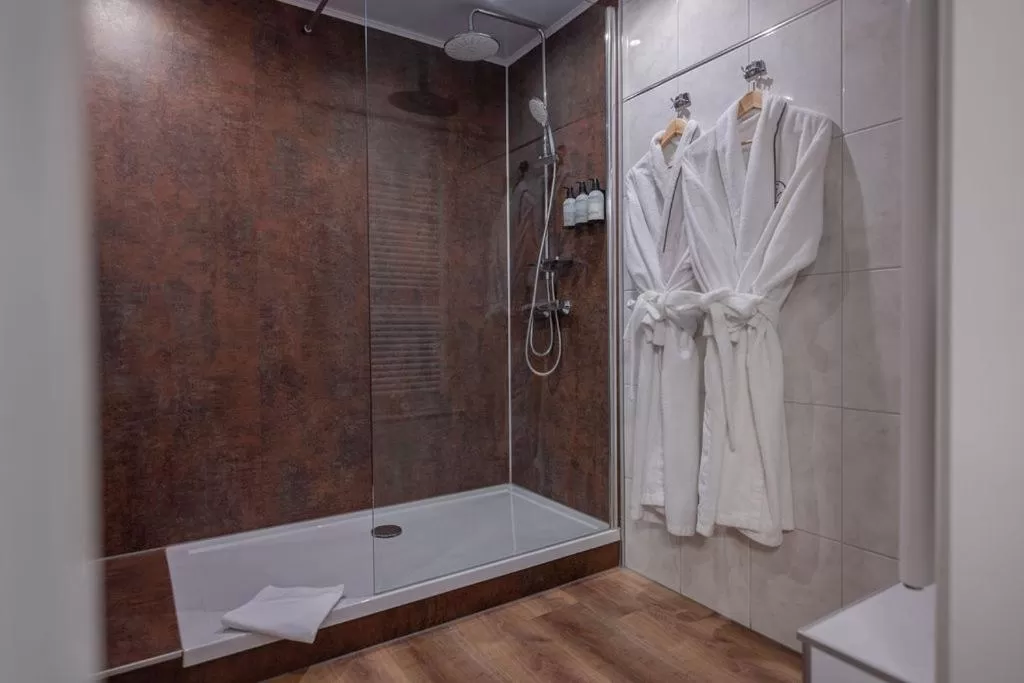 Bathroom in Boutique Hotel Slenaker Vallei - Buitengewoongenieten