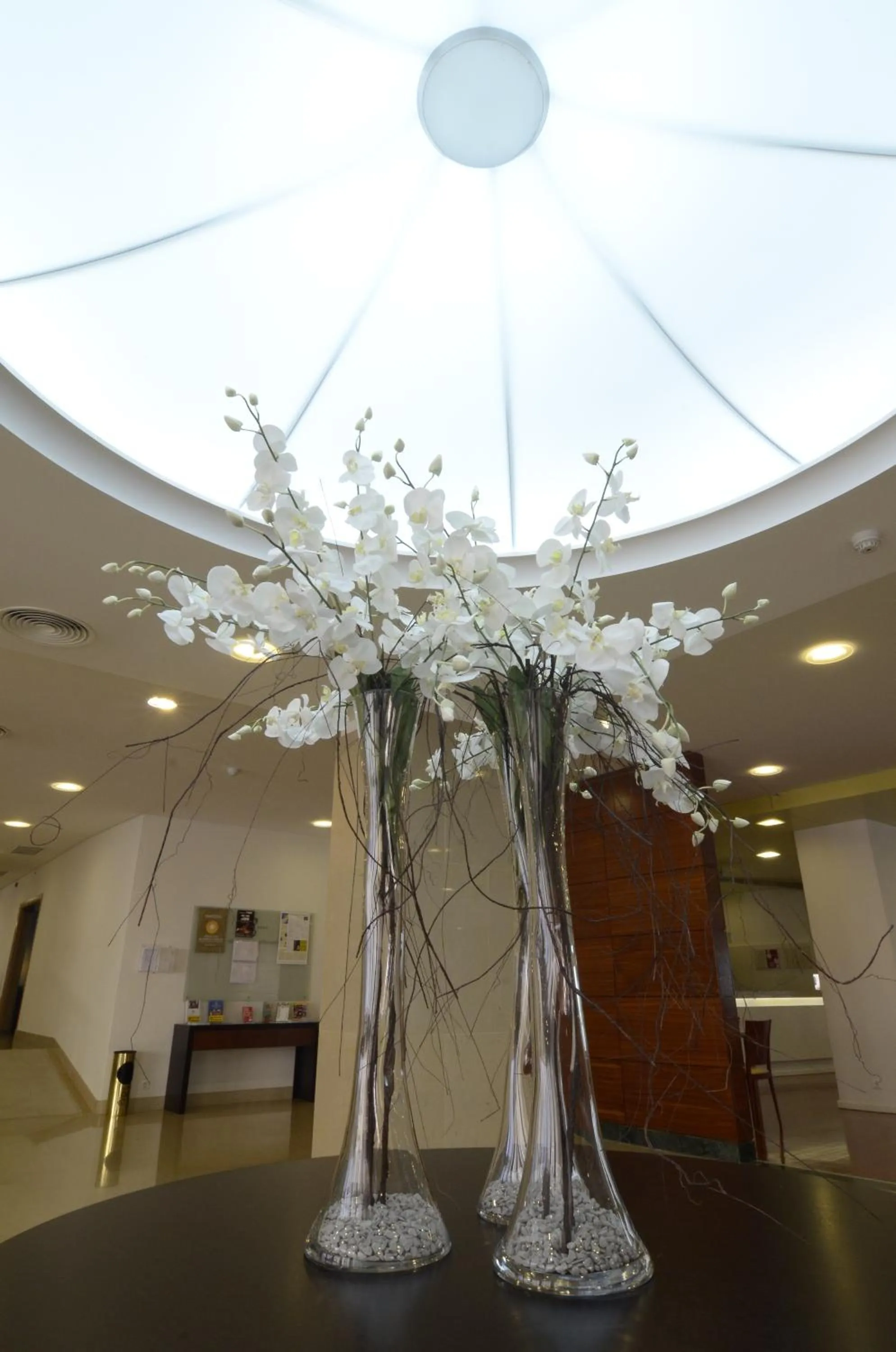 Lobby or reception in Hotel Cinquentenario & Conference Center