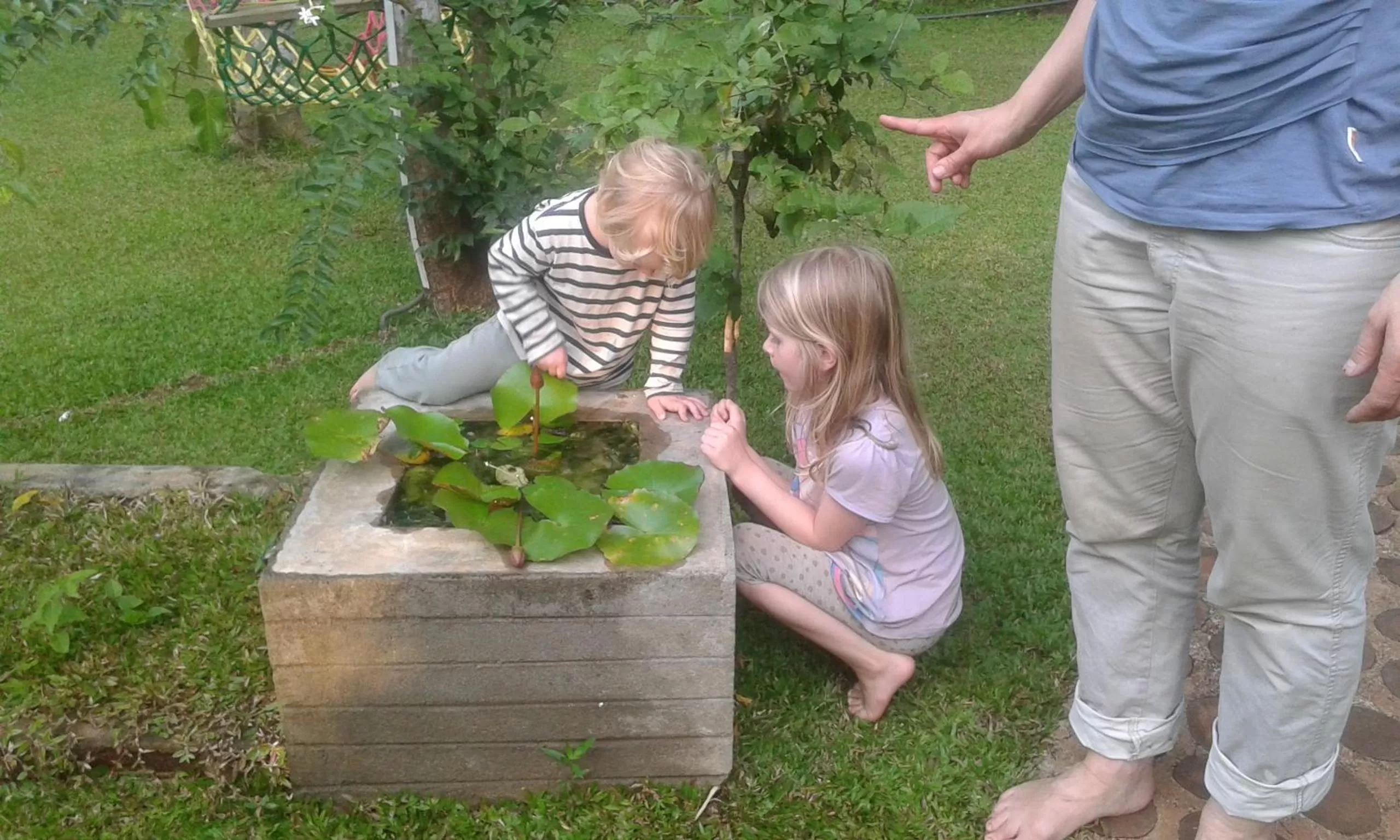 Children in Green Cottage