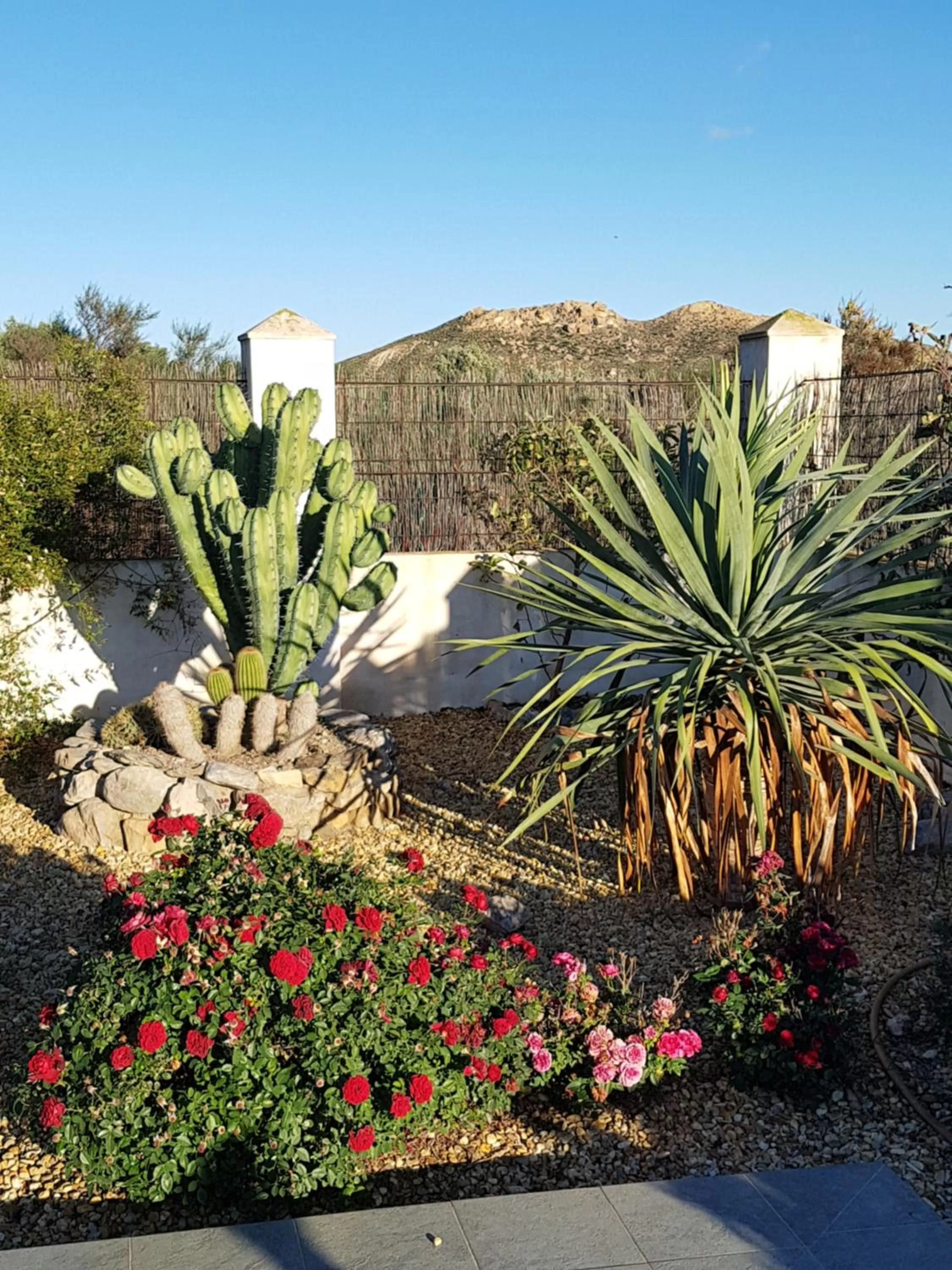Garden in Cortijo Esperanza