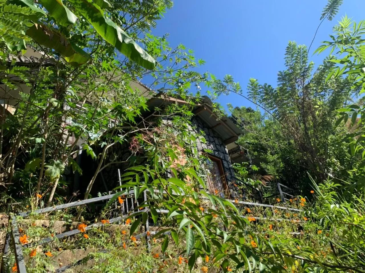 Property Building in Ella Lucky Panoramic