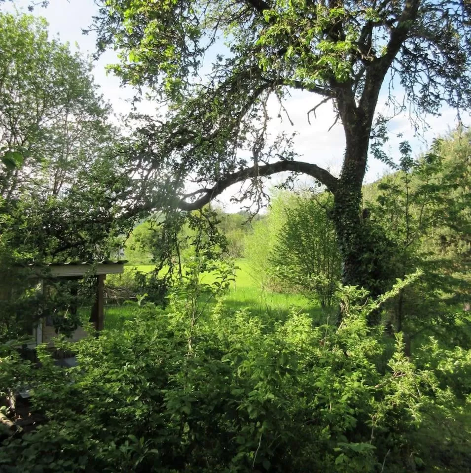 FeWo Landhaus Ederlust HeilungsRäume eV